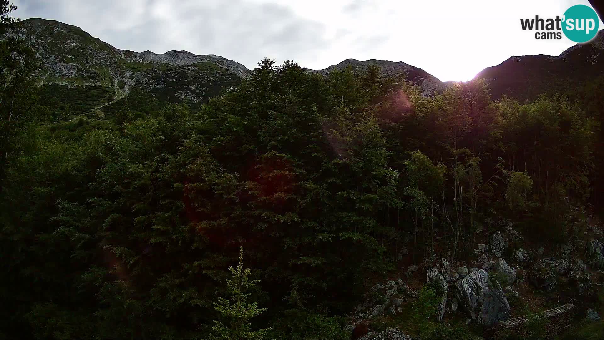 Webcam PLANINA RAZOR (1315) | Blick auf Vogel und Globoko