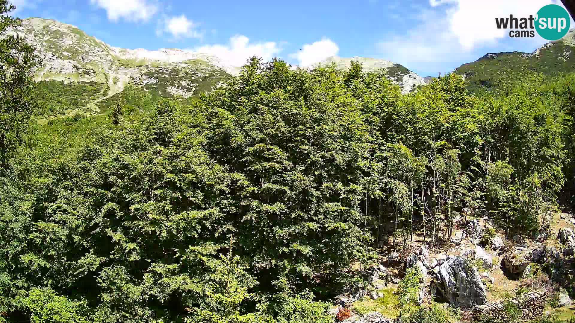 Cámara web PLANINA RAZOR (1315) | vista a Vogel y Globoko