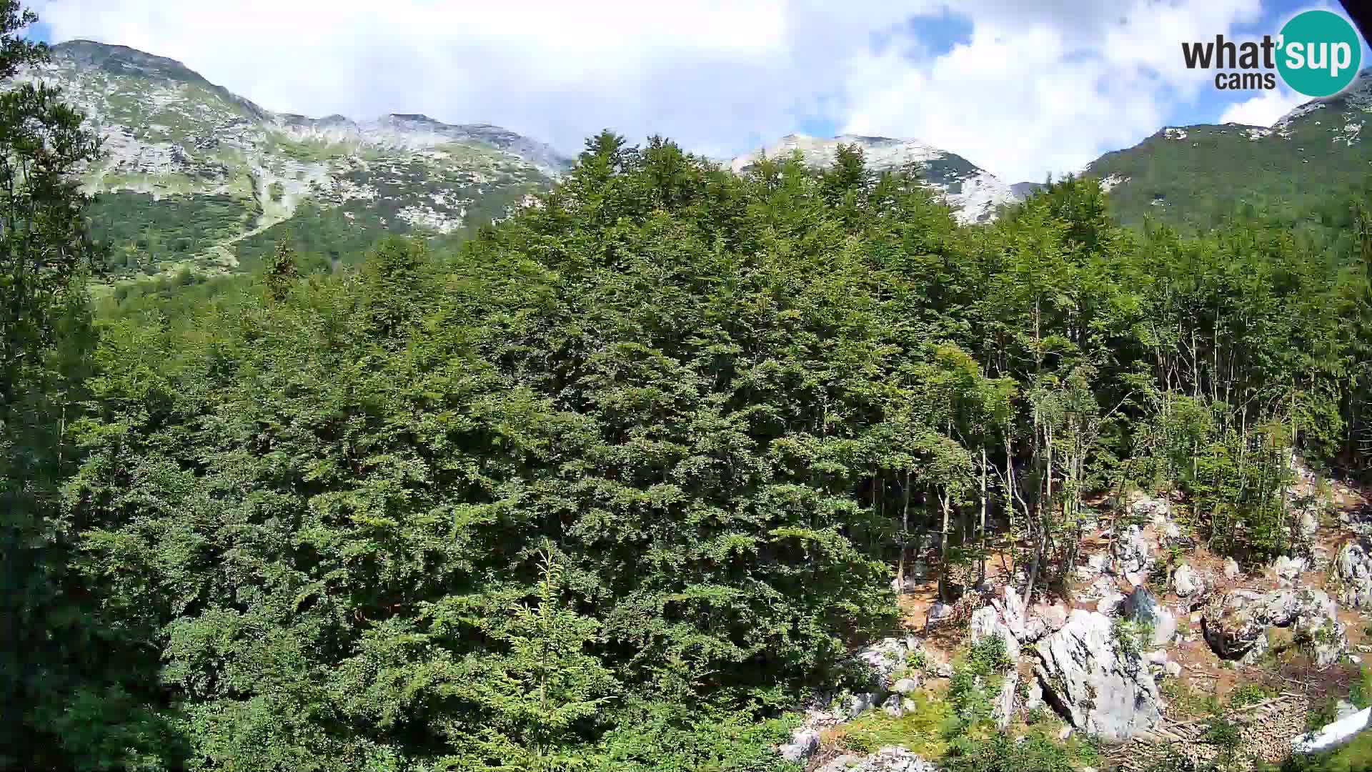 PLANINA RAZOR web kamera (1315) | pogled na Vogel i Globoko