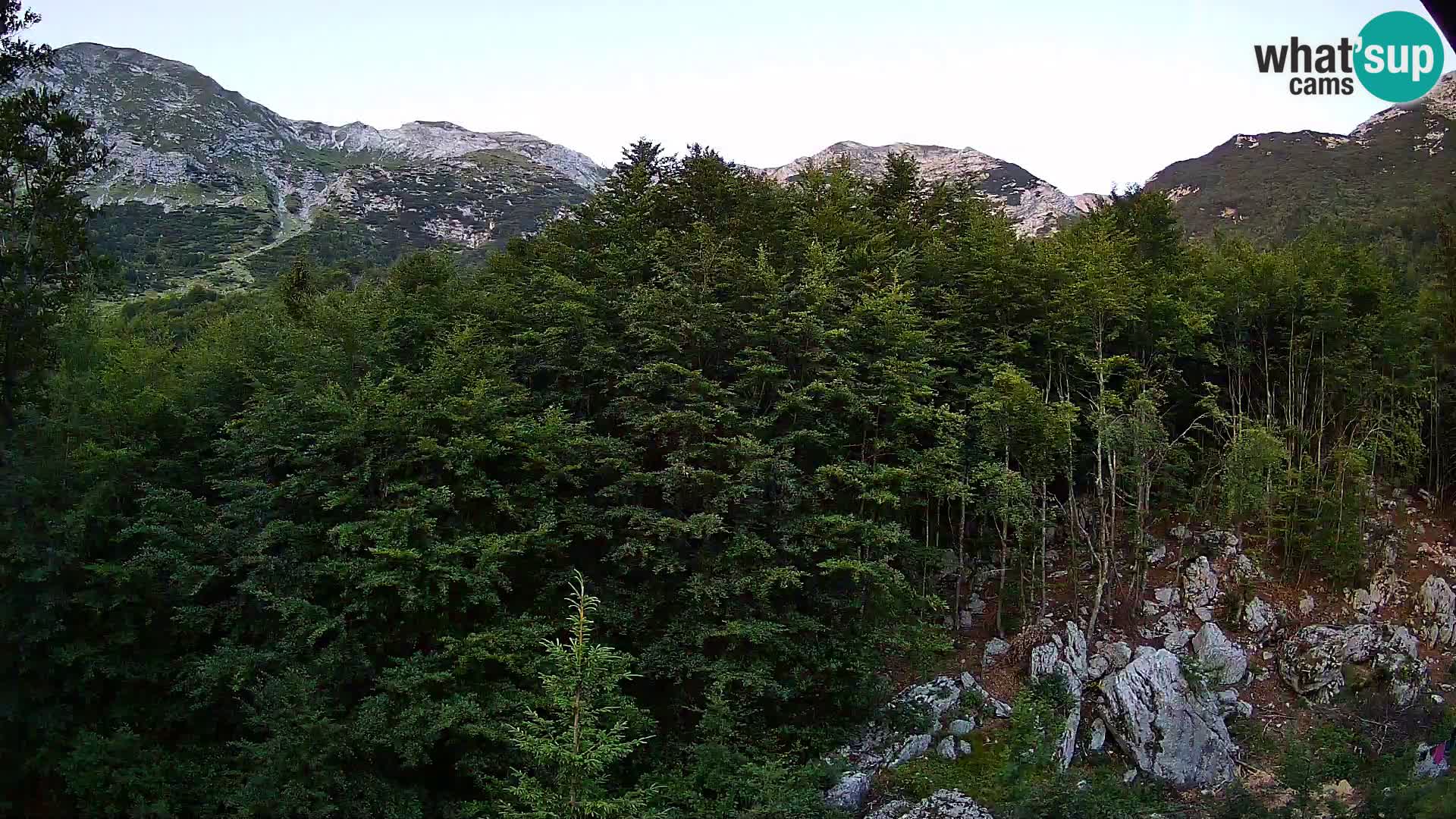 PLANINA RAZOR webcam (1315) | view to Vogel and Globoko