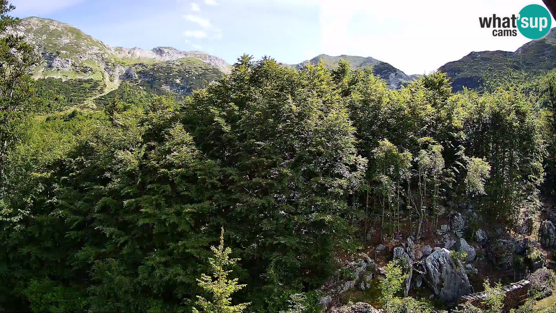 Cámara web PLANINA RAZOR (1315) | vista a Vogel y Globoko