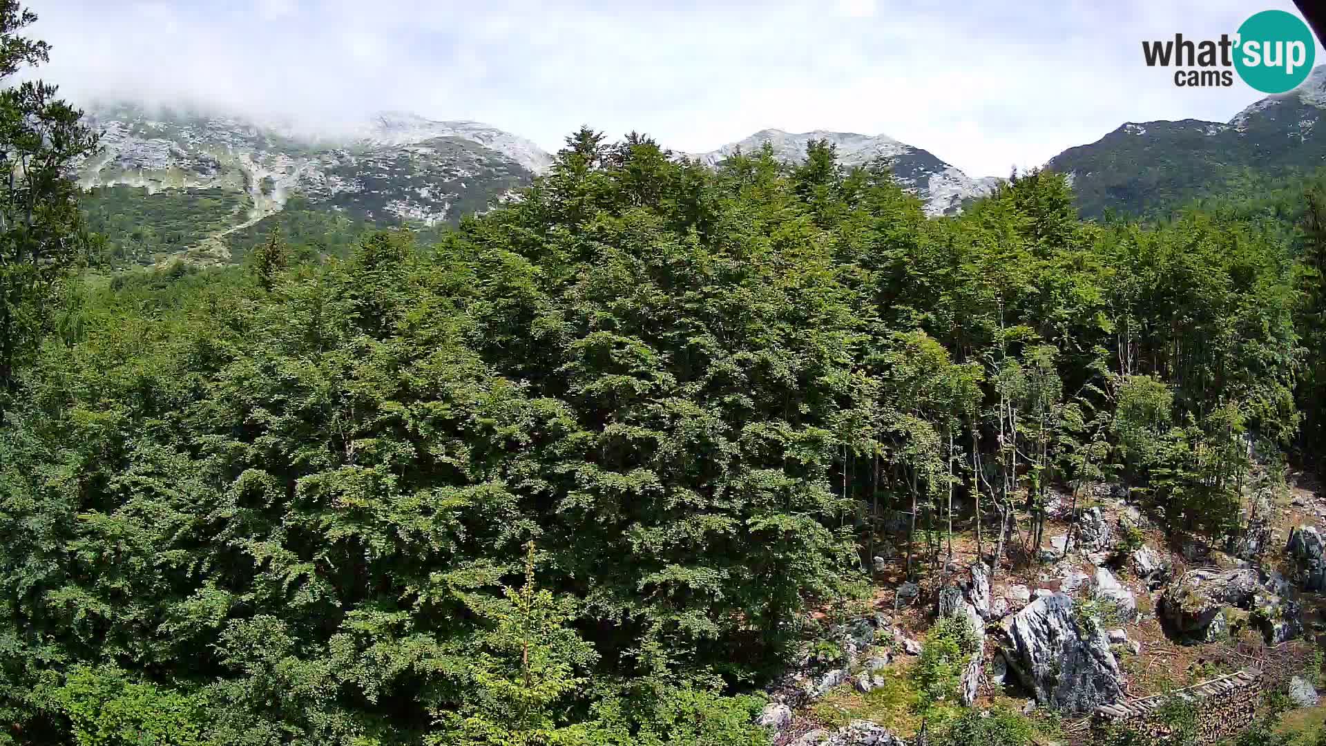 Cámara web PLANINA RAZOR (1315) | vista a Vogel y Globoko
