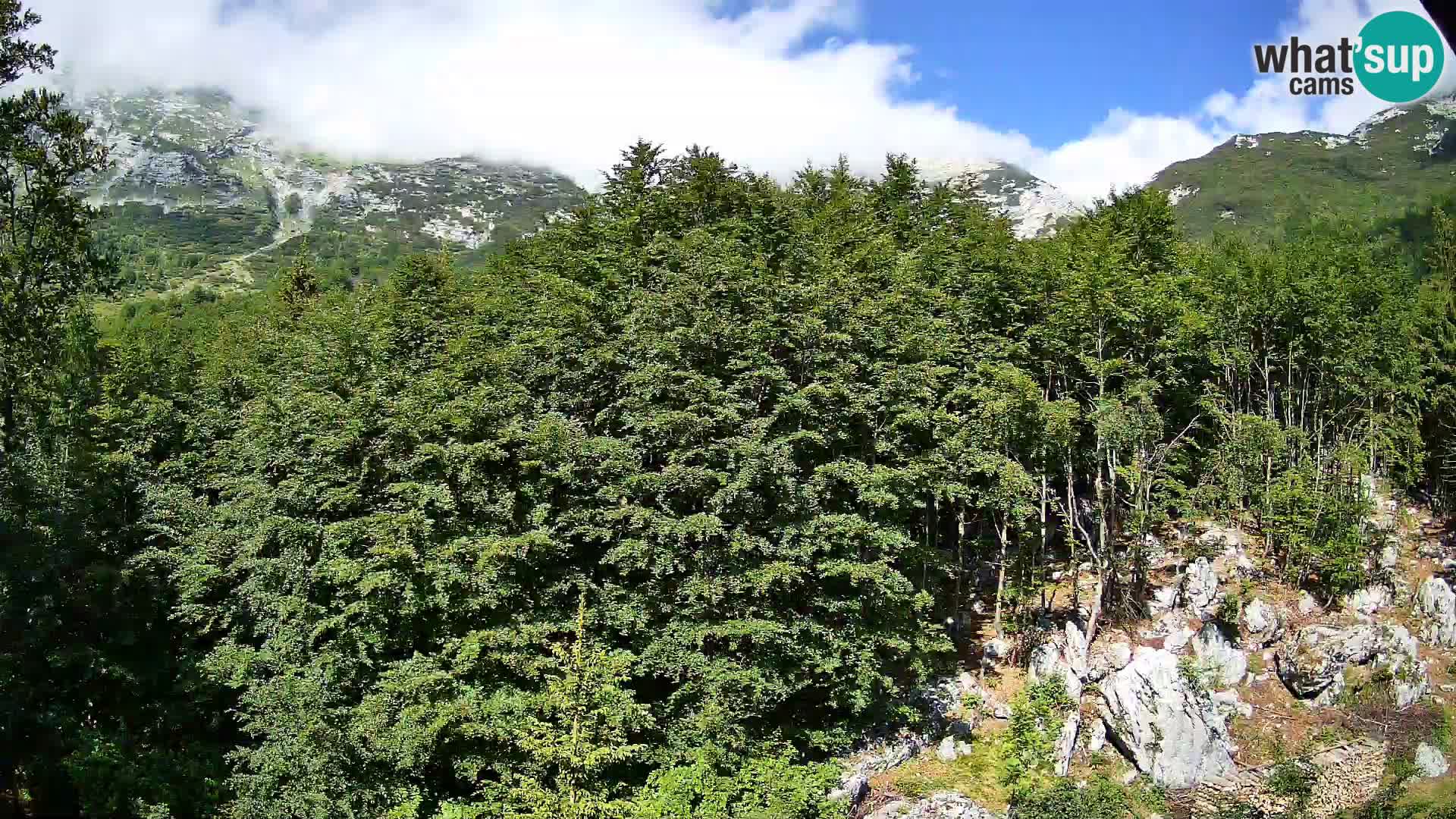 PLANINA RAZOR webcam (1315) | view to Vogel and Globoko