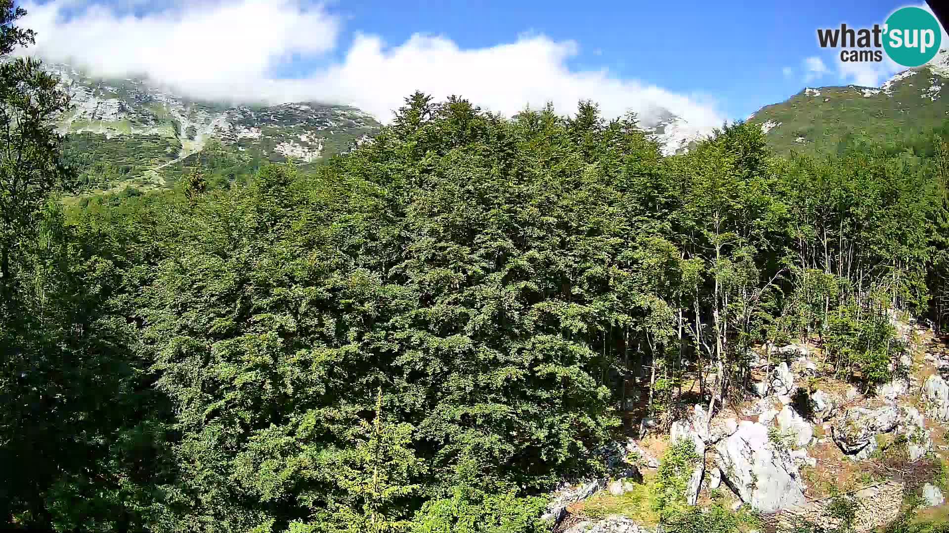 PLANINA RAZOR kamera (1315) | pogled na Vogel in Globoko