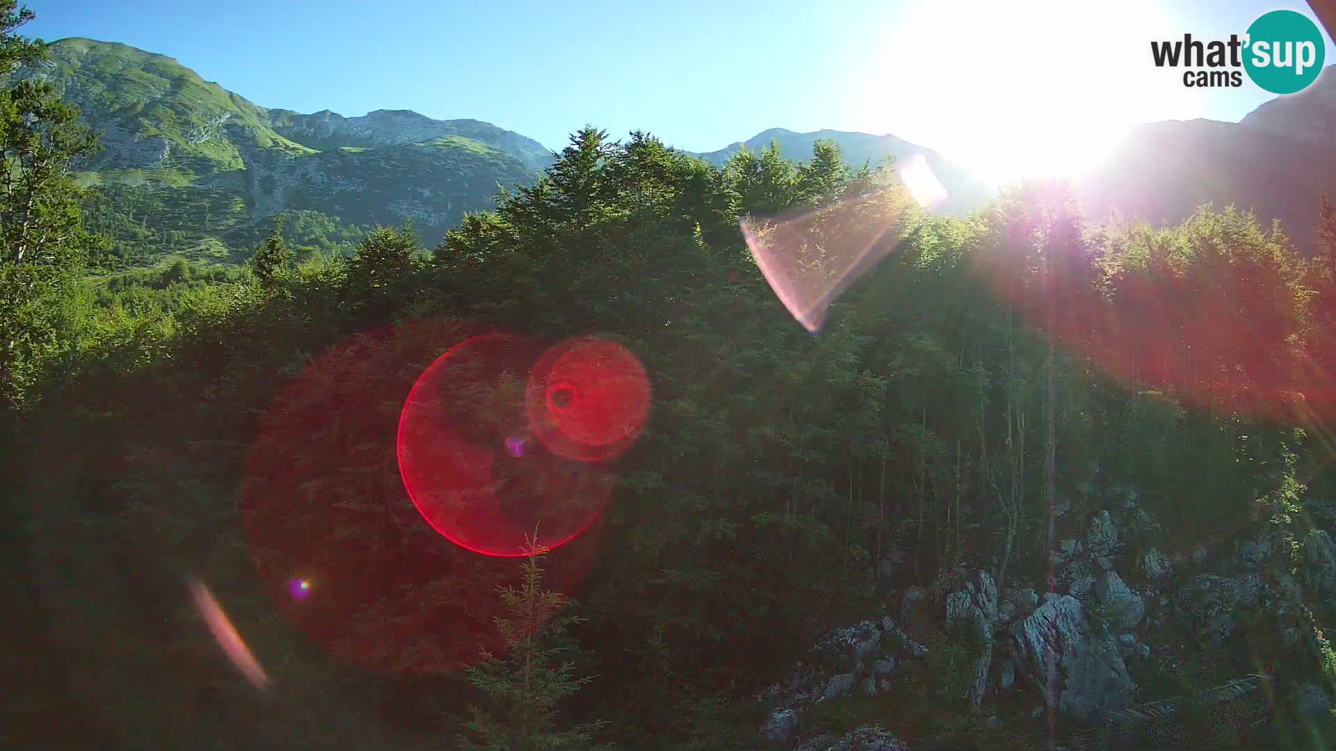PLANINA RAZOR Live Cam (1315) | vista su Vogel e Globoko