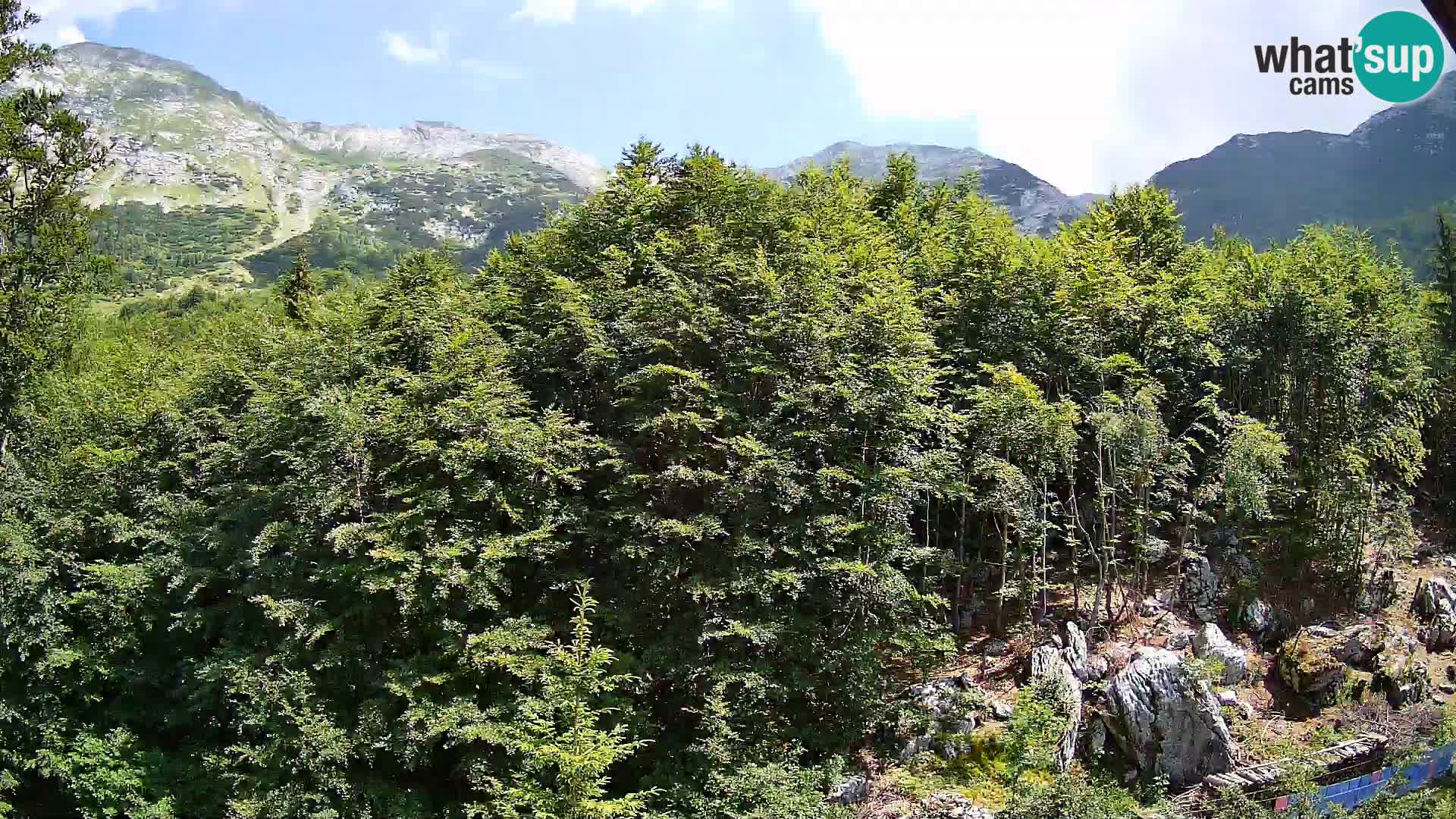 PLANINA RAZOR webcam (1315) | view to Vogel and Globoko