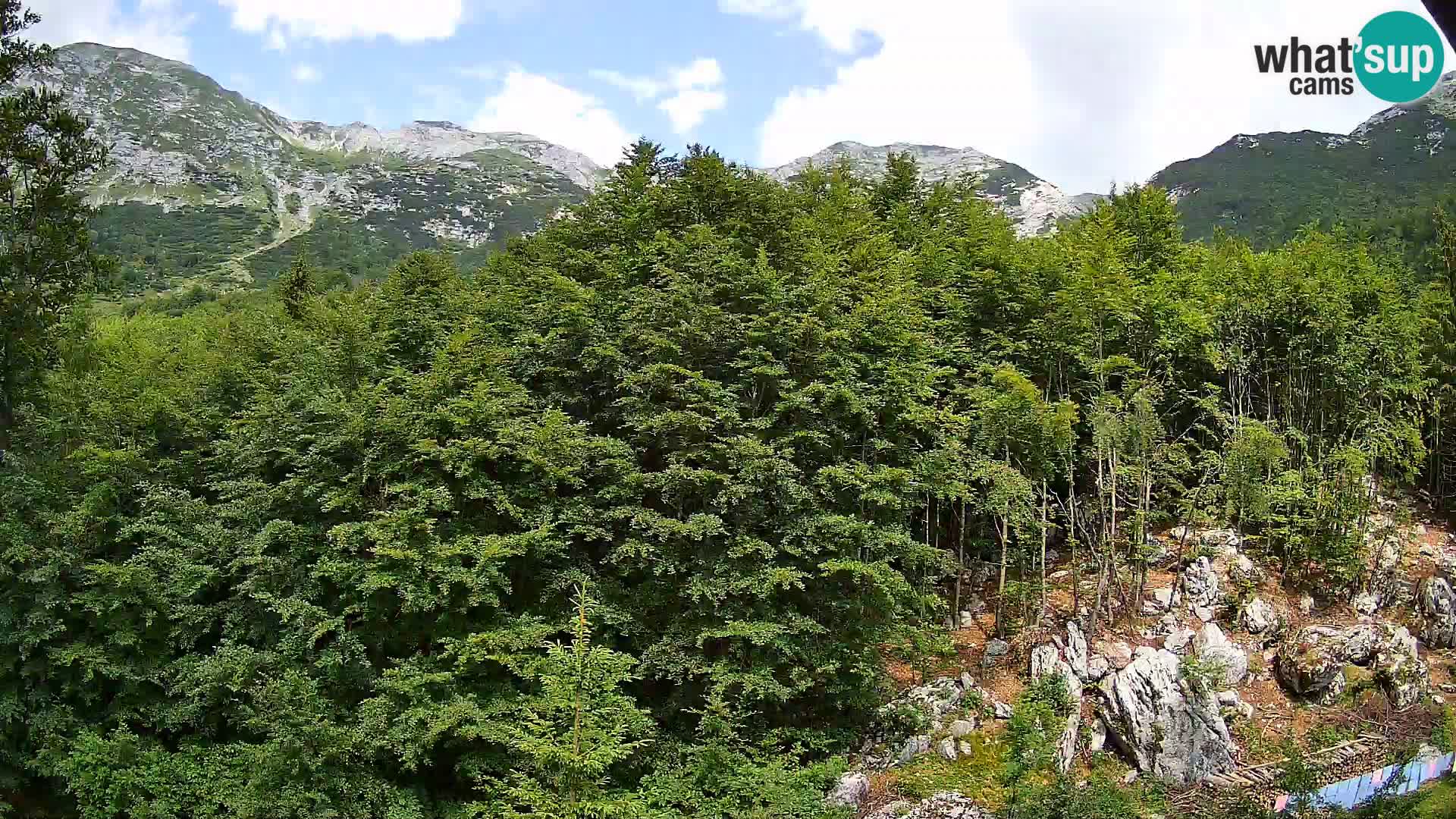 PLANINA RAZOR web kamera (1315) | pogled na Vogel i Globoko