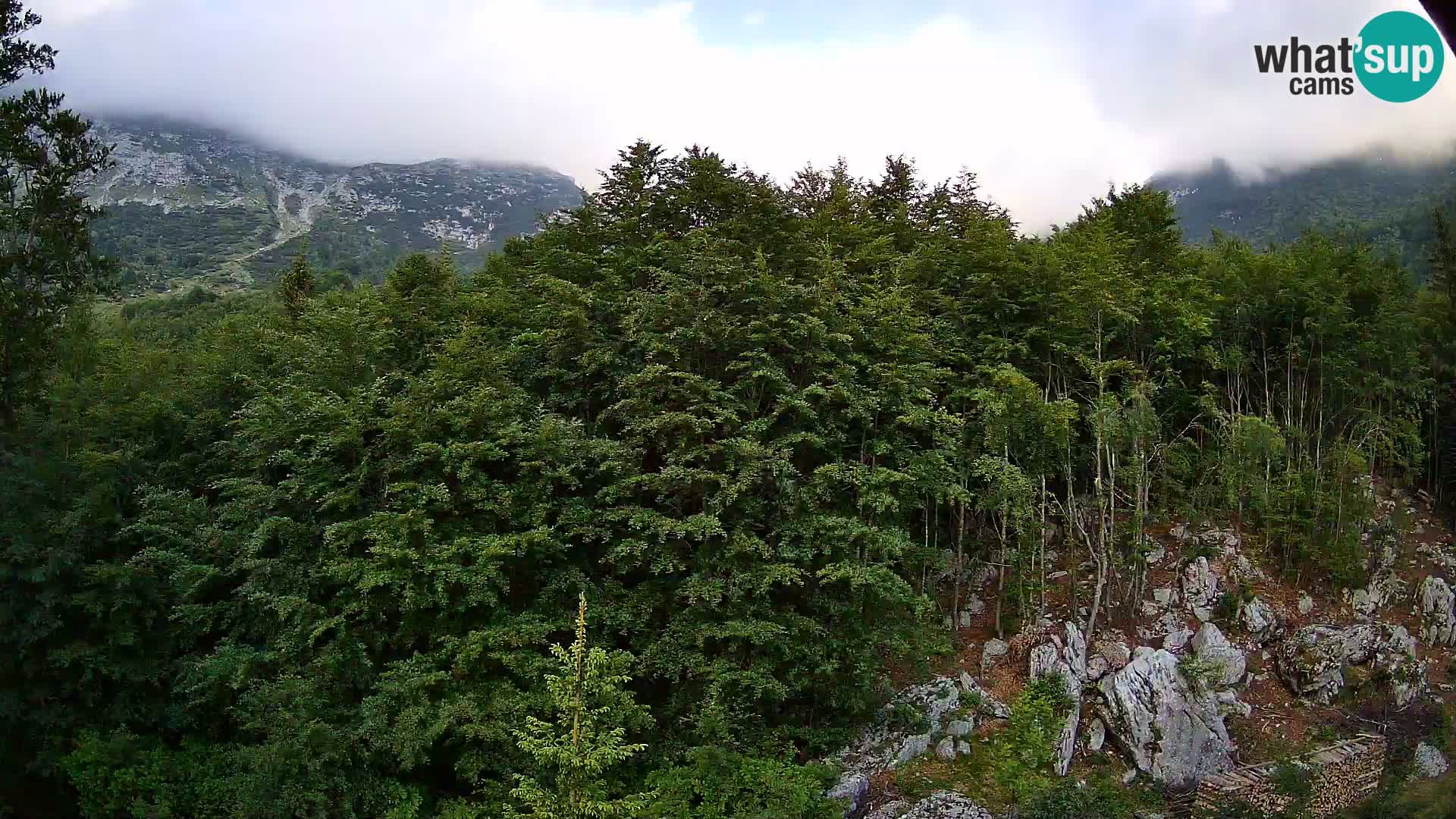 PLANINA RAZOR webcam (1315) | view to Vogel and Globoko