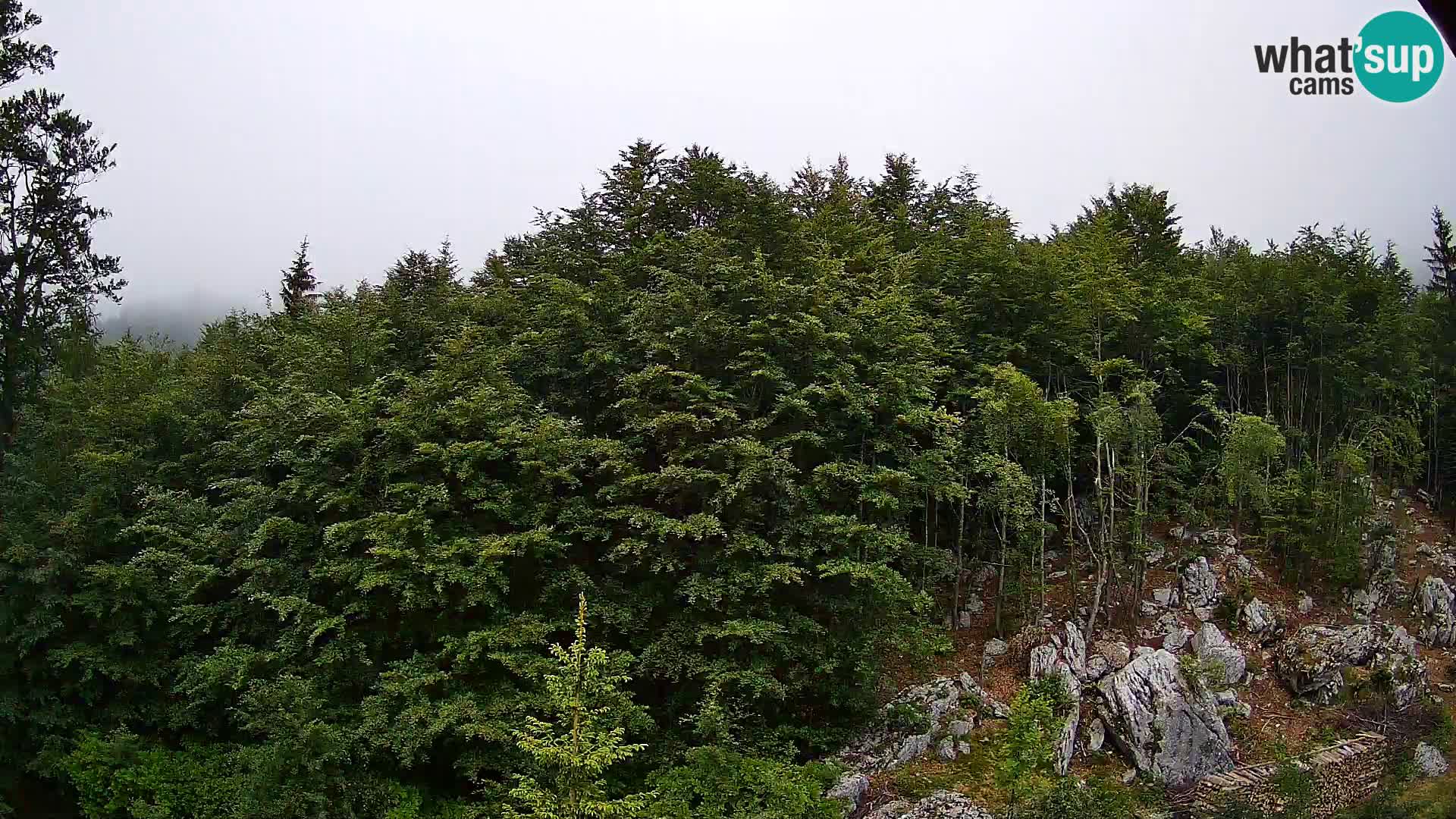Webcam PLANINA RAZOR (1315) | Blick auf Vogel und Globoko