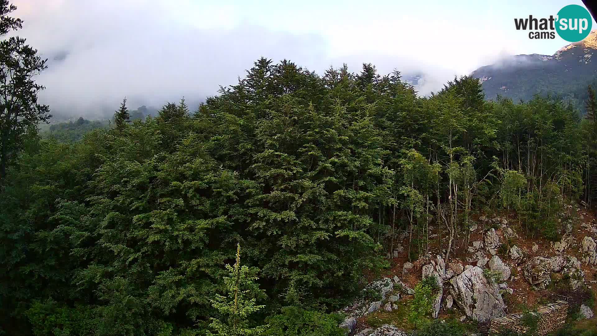 Webcam PLANINA RAZOR (1315) | Blick auf Vogel und Globoko