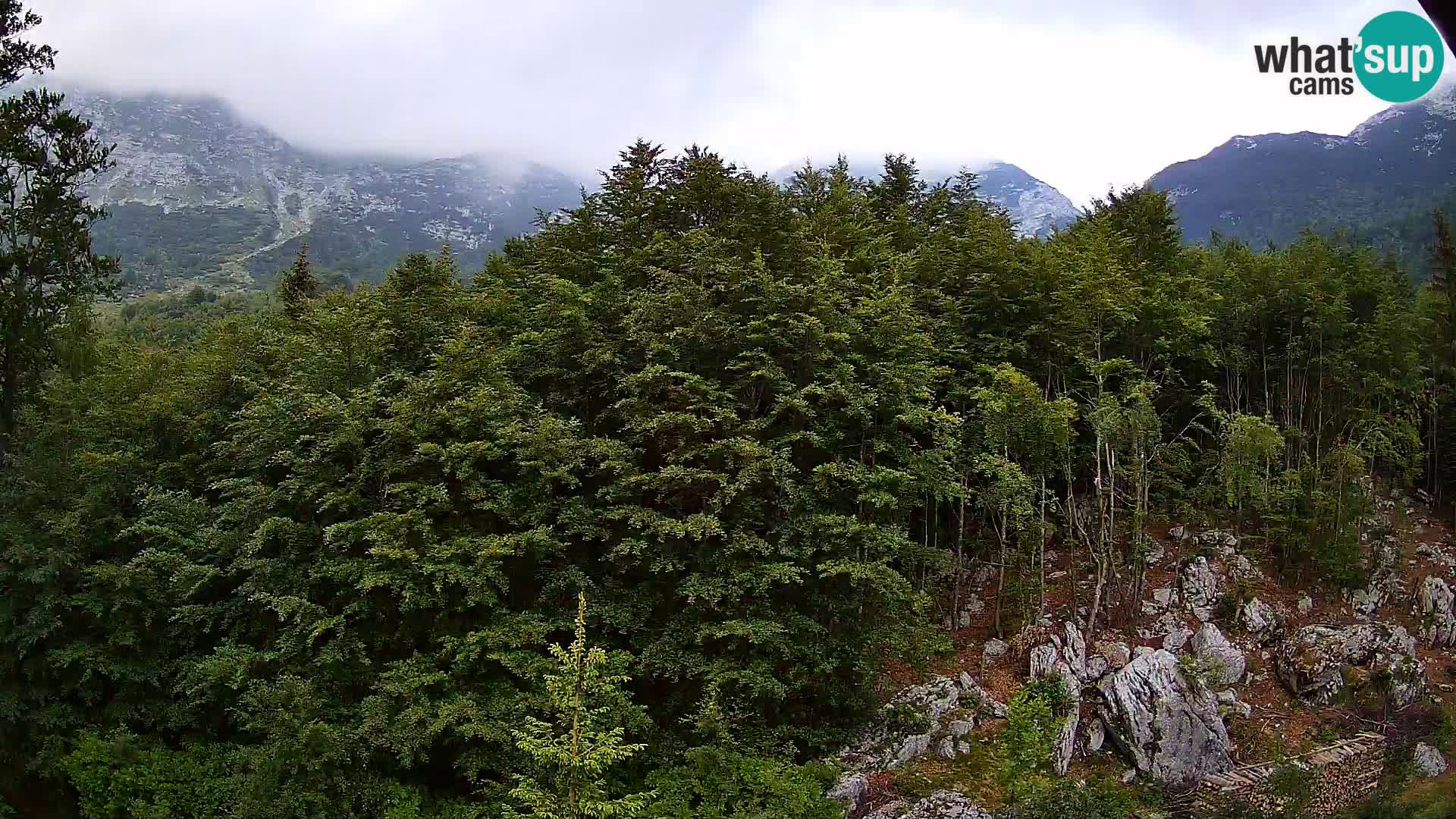 PLANINA RAZOR webcam (1315) | view to Vogel and Globoko