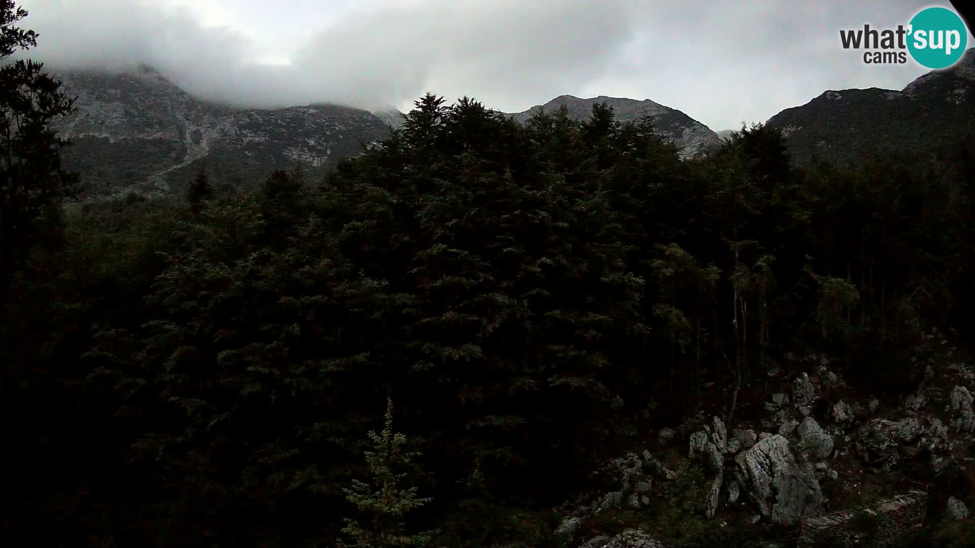 Webcam PLANINA RAZOR (1315) | Blick auf Vogel und Globoko