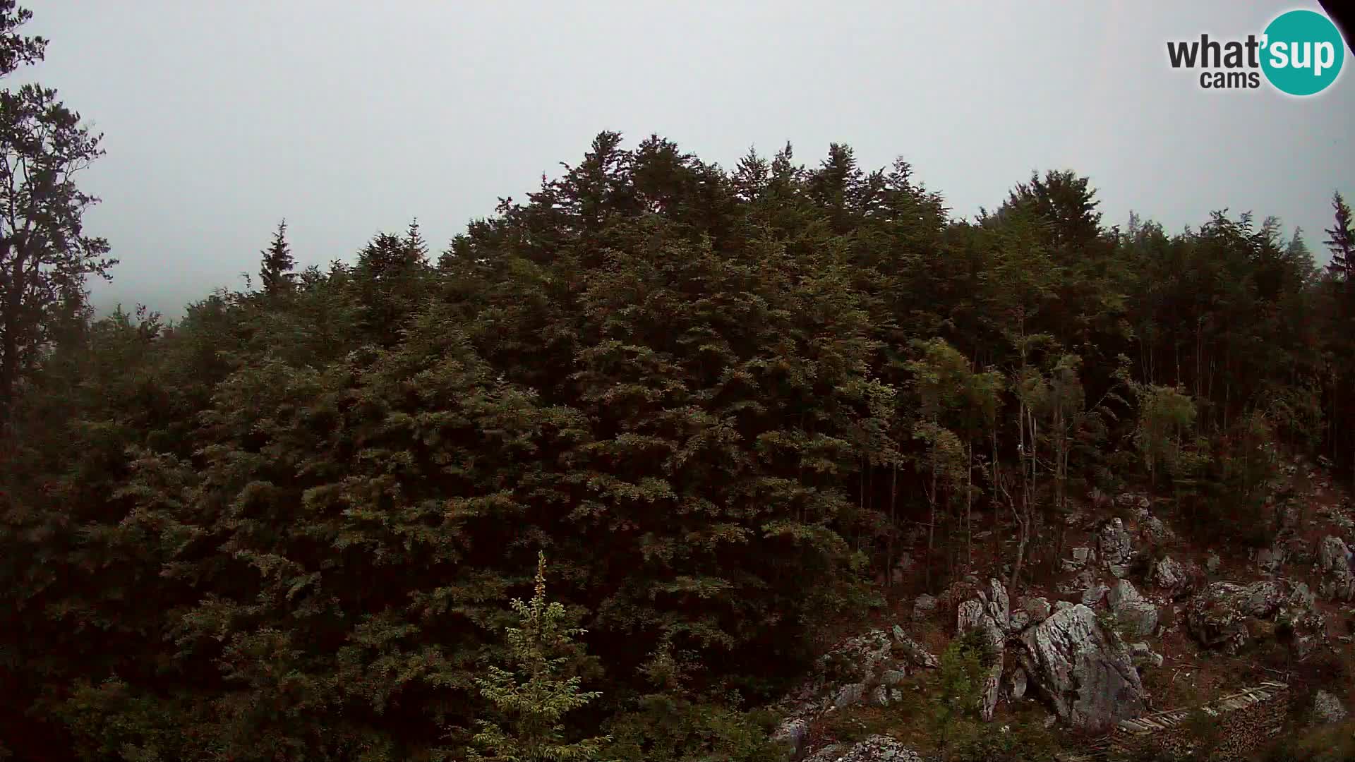PLANINA RAZOR kamera (1315) | pogled na Vogel in Globoko
