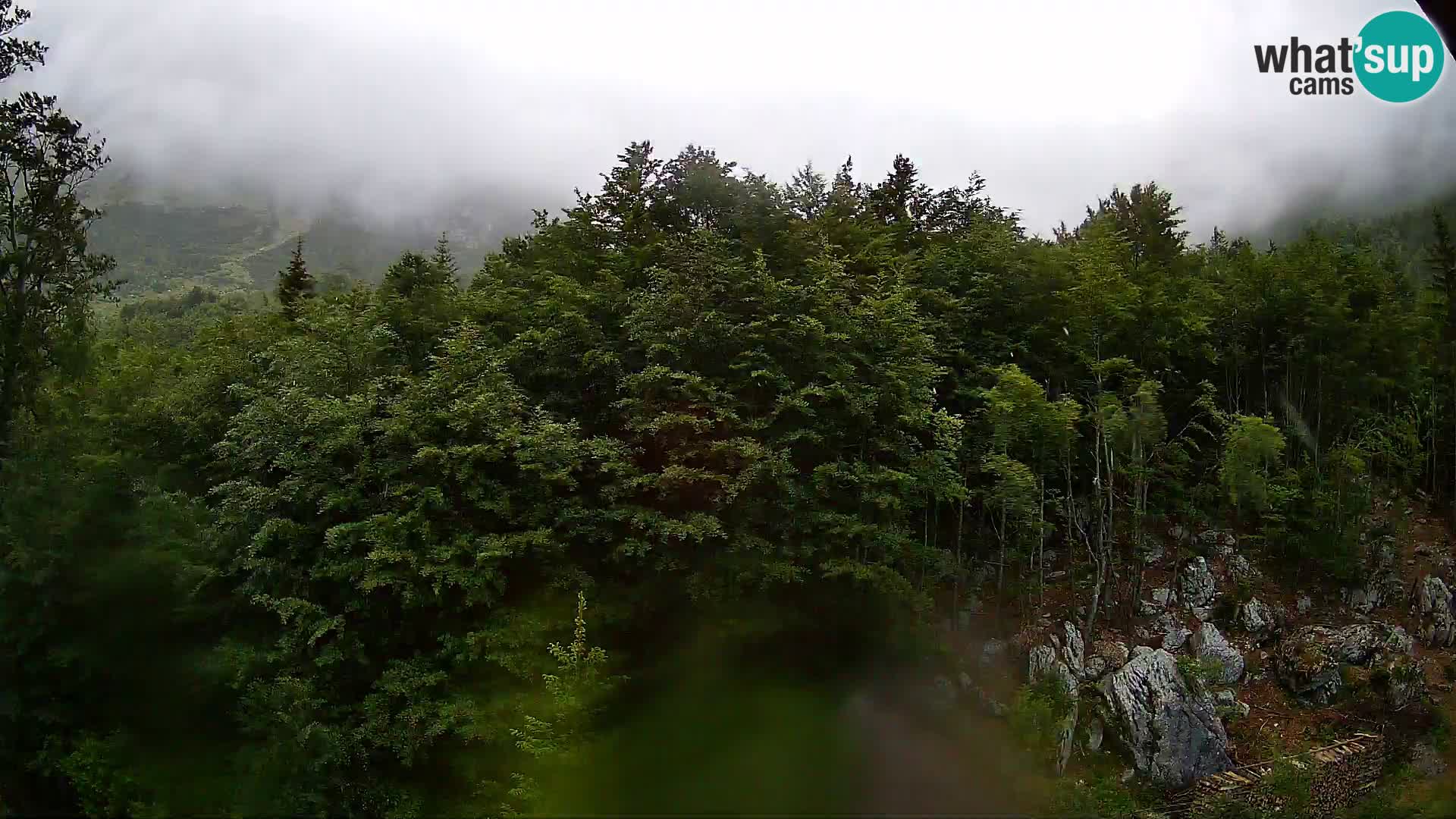 PLANINA RAZOR kamera (1315) | pogled na Vogel in Globoko