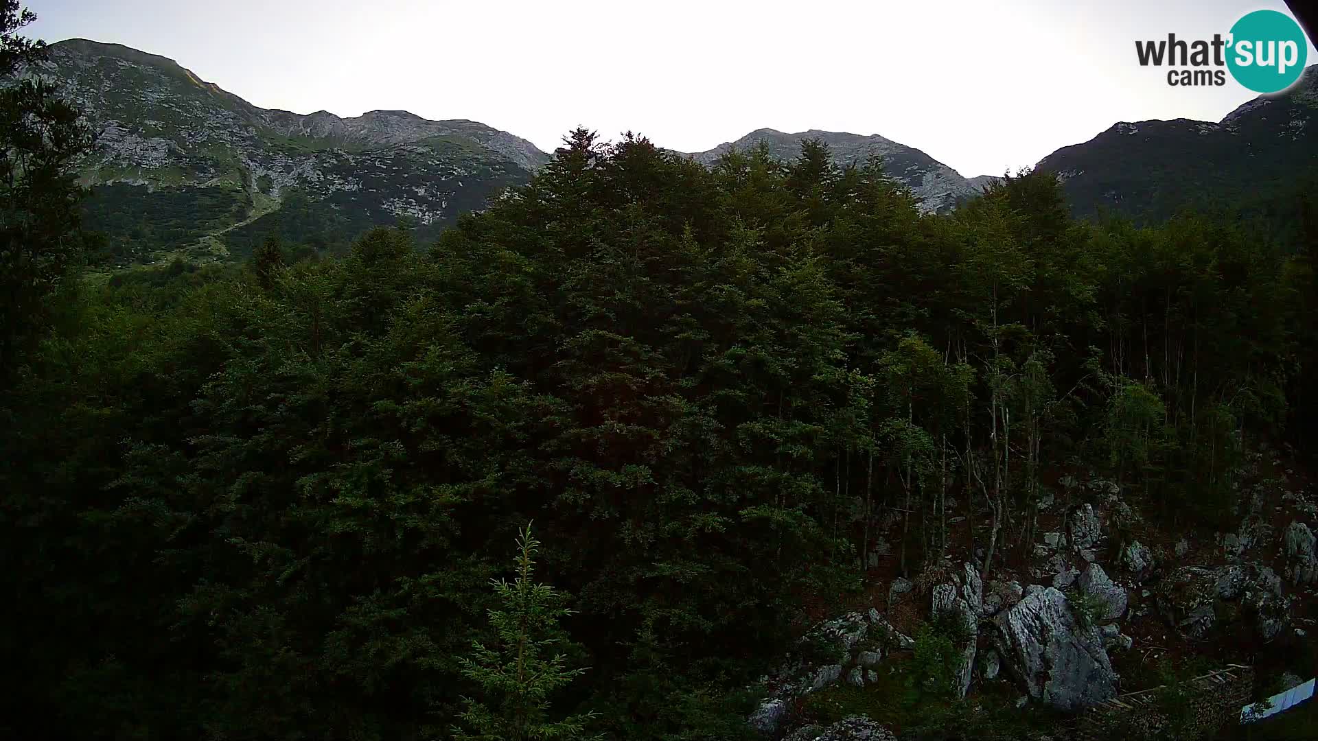 PLANINA RAZOR Live Cam (1315) | vista su Vogel e Globoko