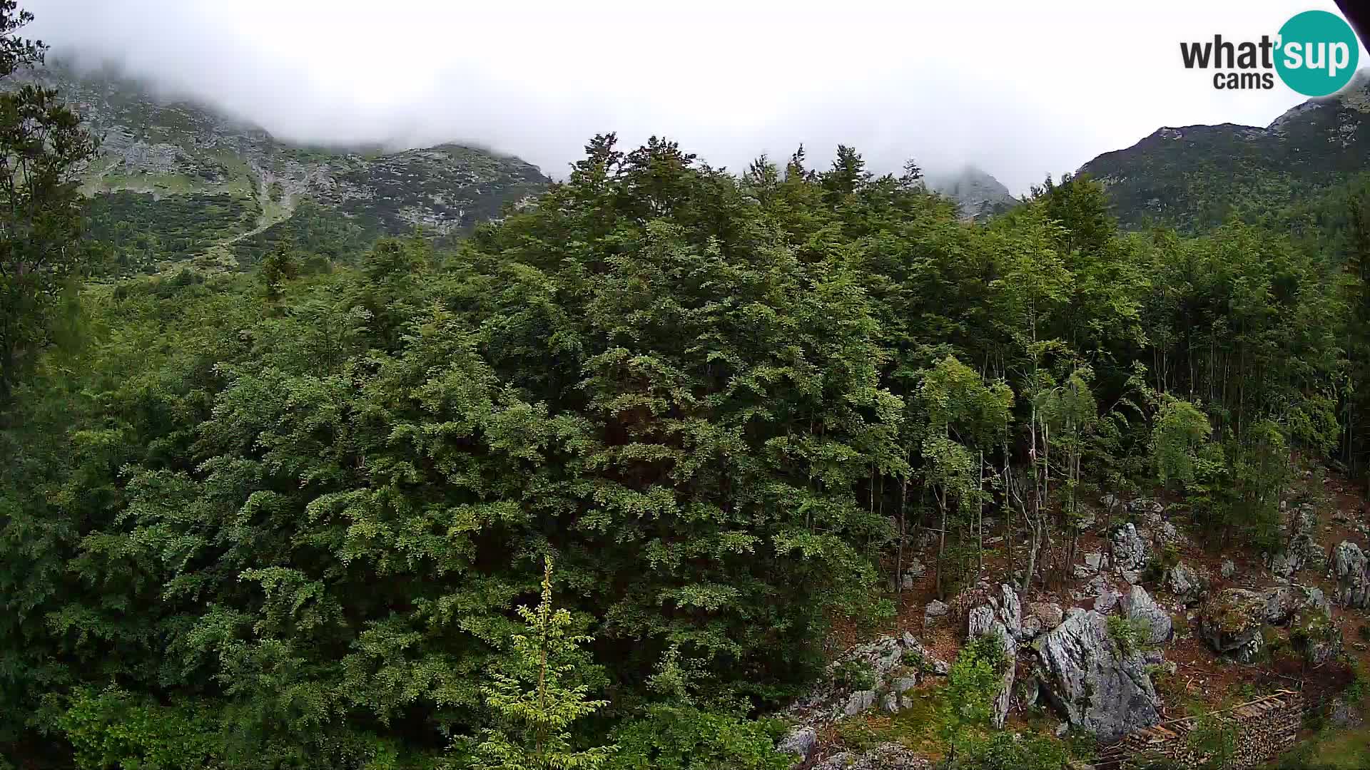 Cámara web PLANINA RAZOR (1315) | vista a Vogel y Globoko