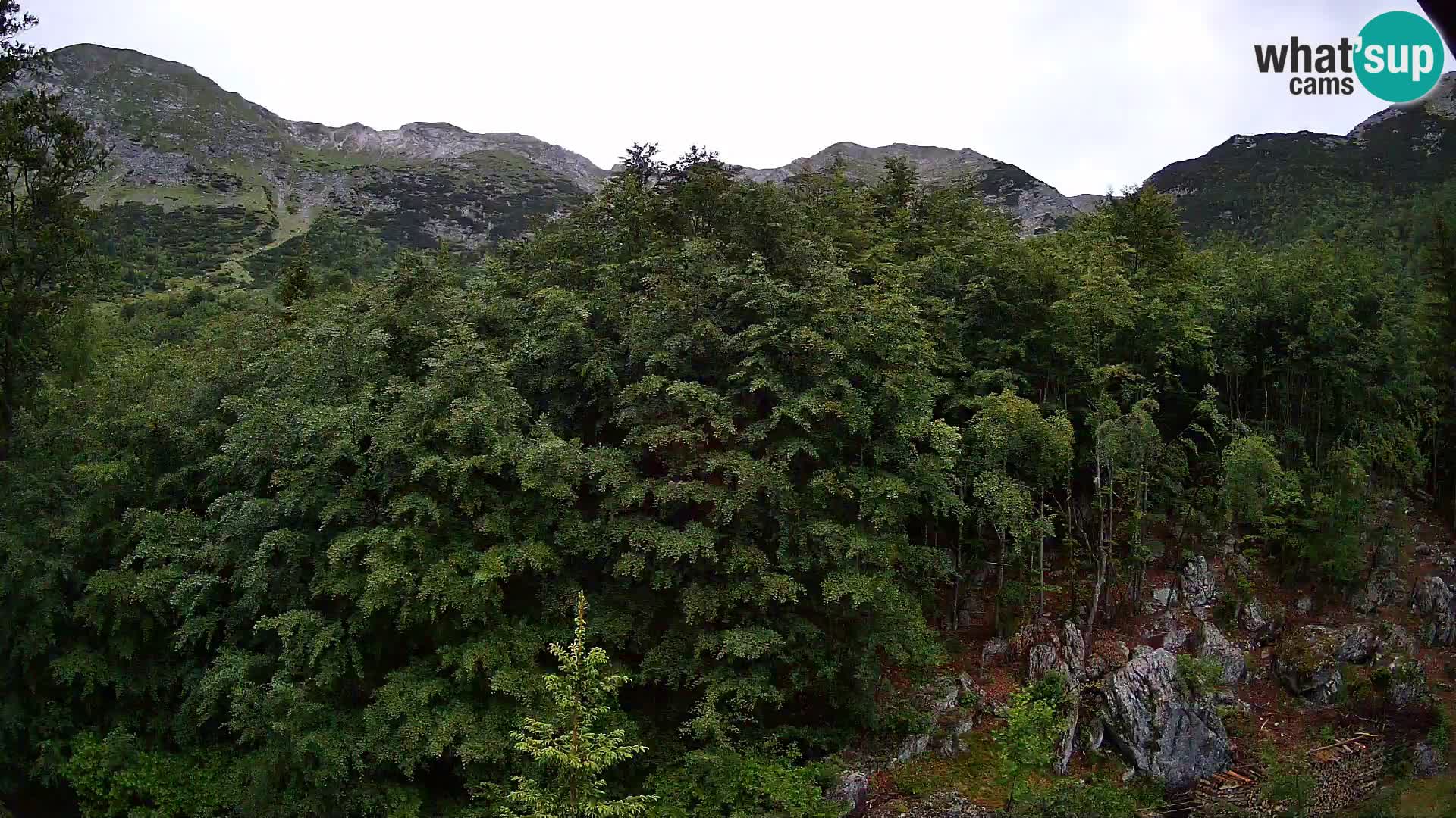 Cámara web PLANINA RAZOR (1315) | vista a Vogel y Globoko