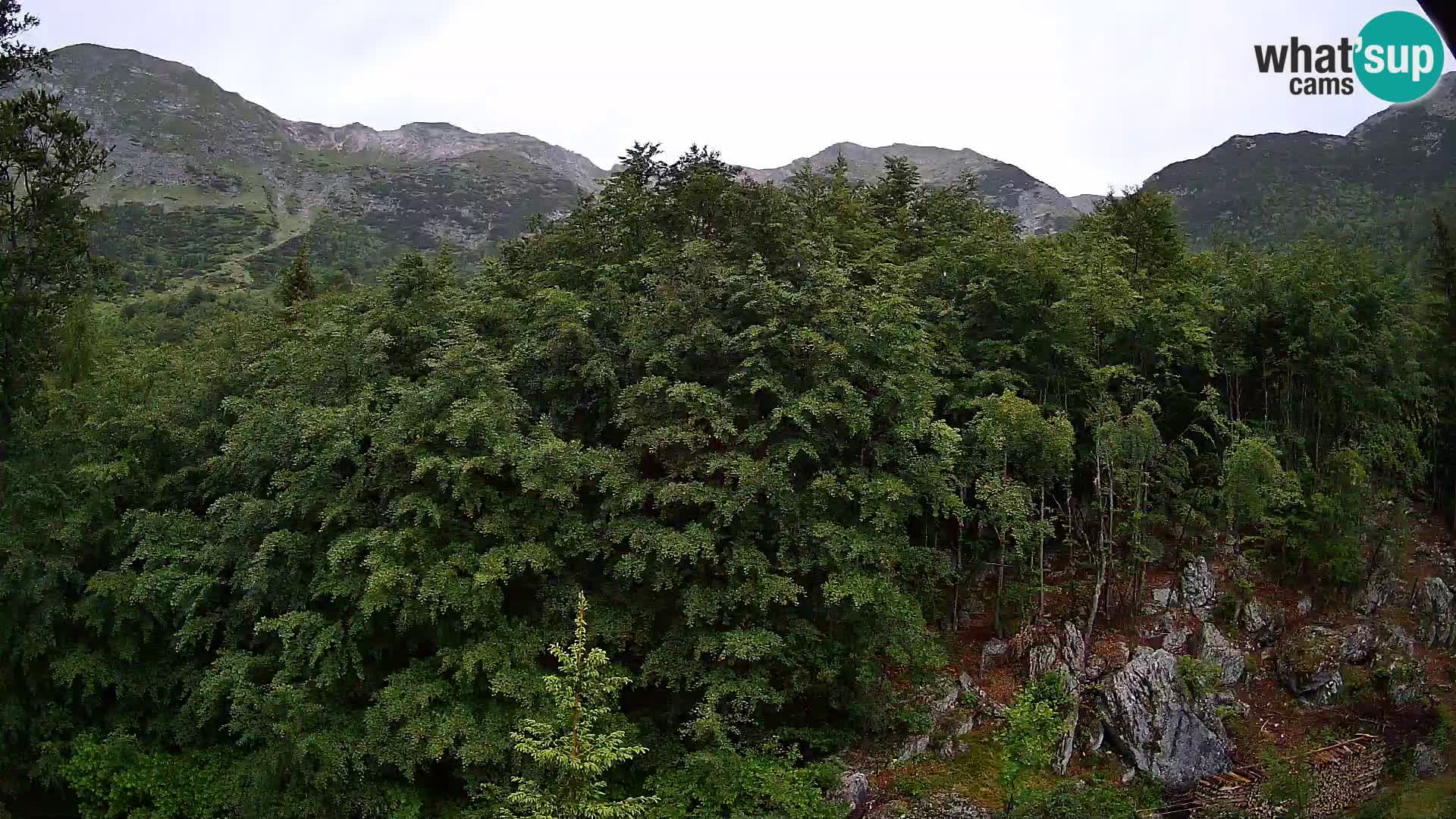 Cámara web PLANINA RAZOR (1315) | vista a Vogel y Globoko