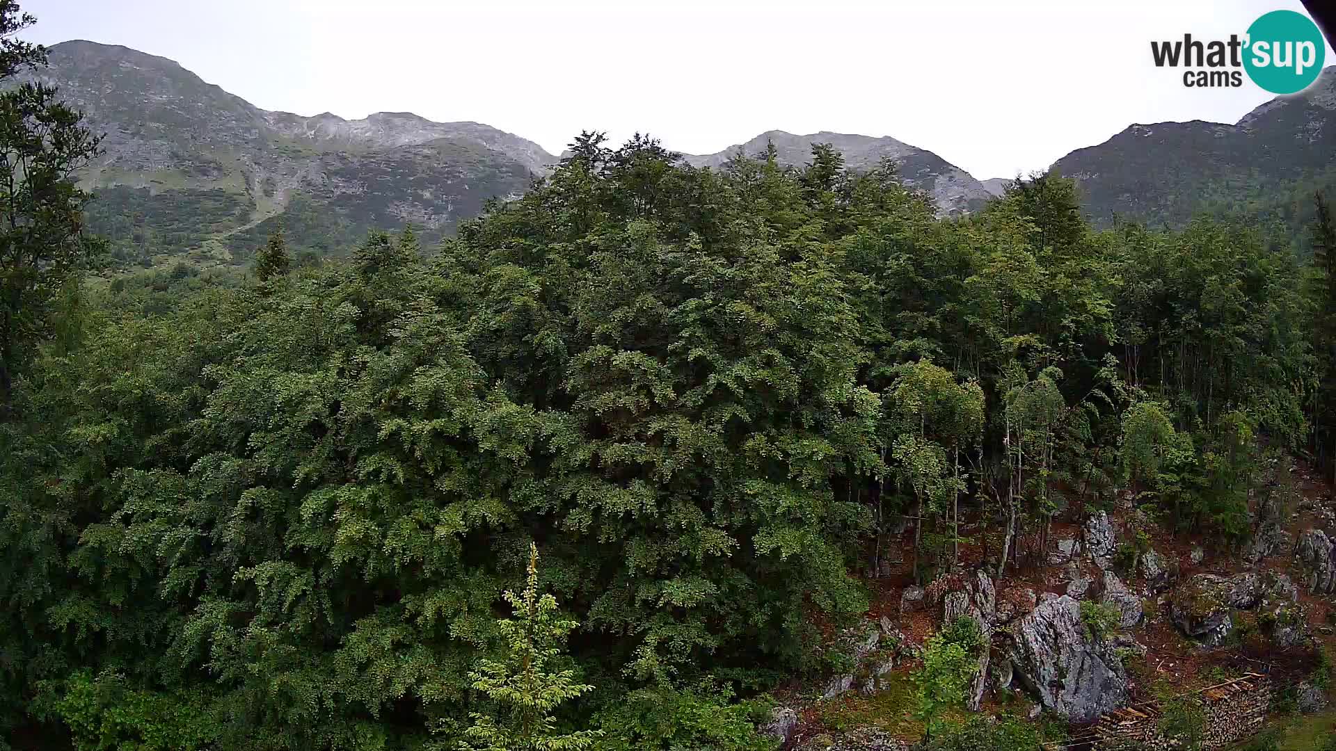 PLANINA RAZOR webcam (1315) | view to Vogel and Globoko
