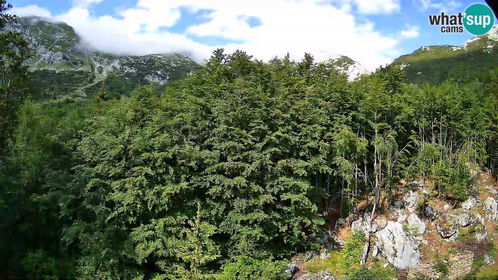 Livecam PLANINA RAZOR (1315) | vue sur Vogel et Globoko