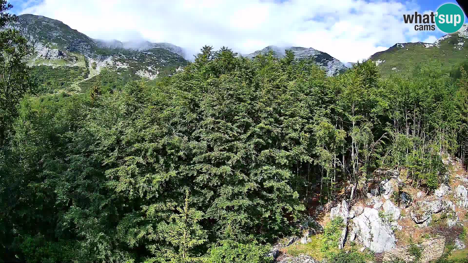 PLANINA RAZOR webcam (1315) | view to Vogel and Globoko