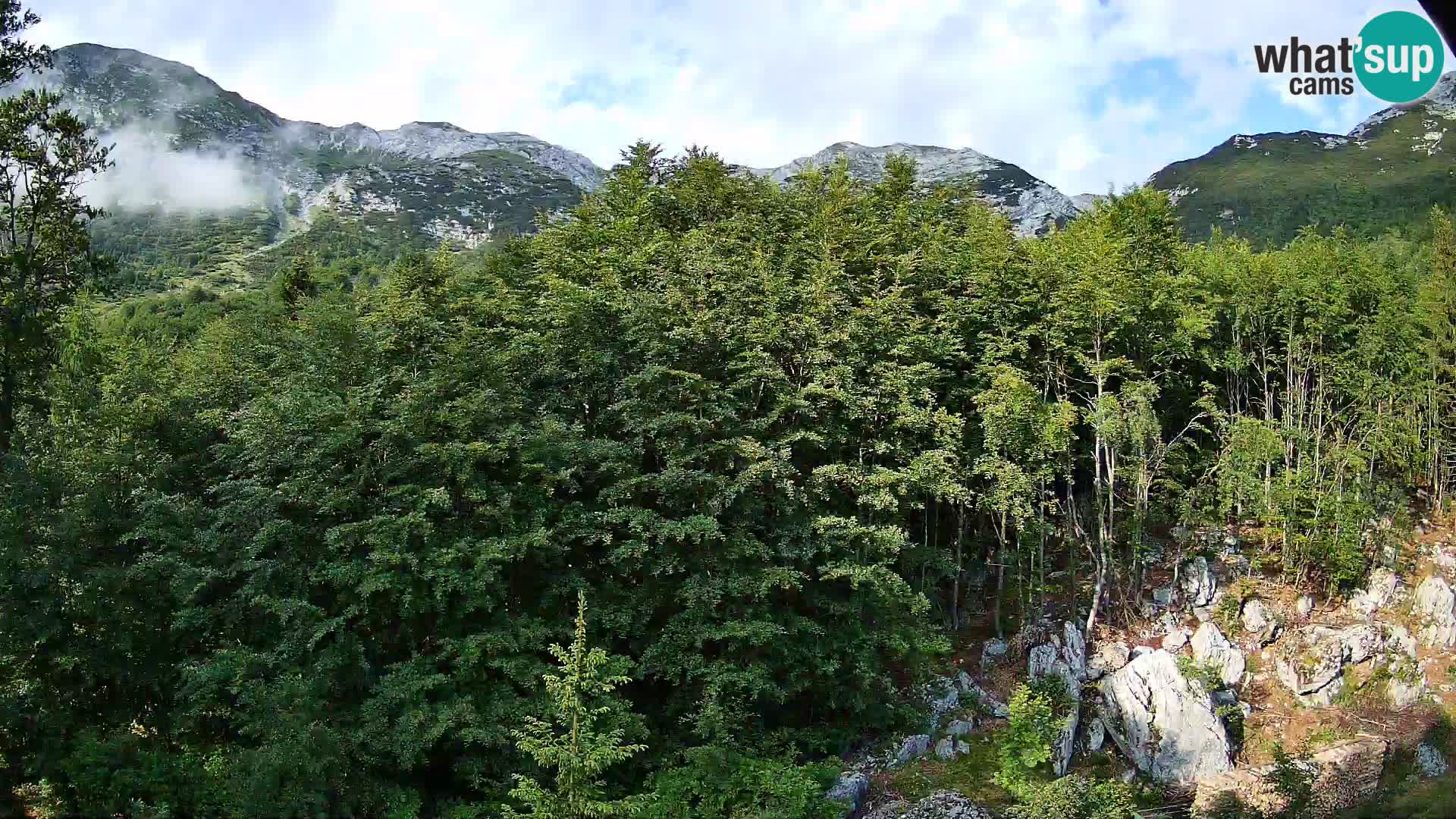 Livecam PLANINA RAZOR (1315) | vue sur Vogel et Globoko