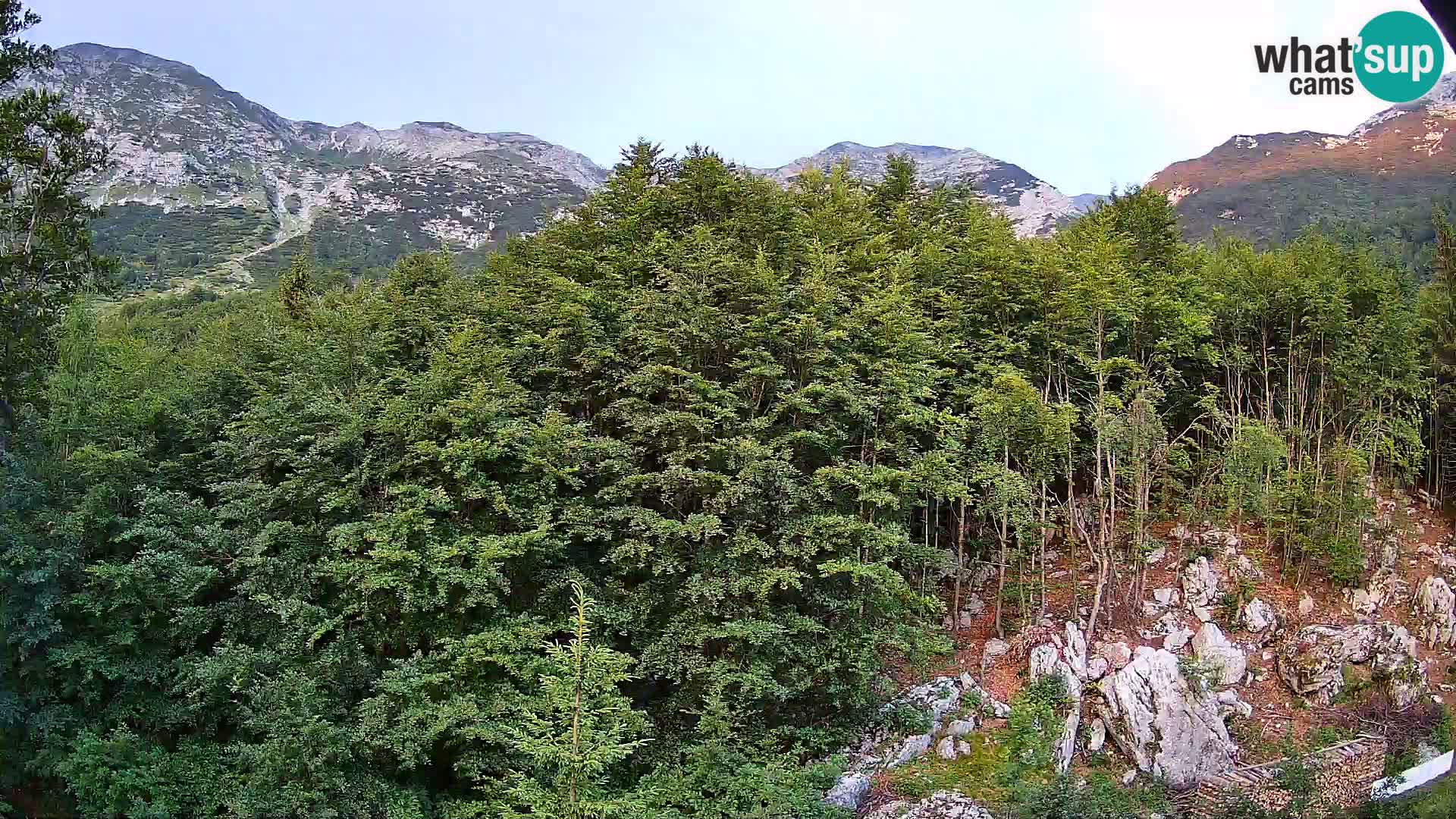 PLANINA RAZOR webcam (1315) | view to Vogel and Globoko