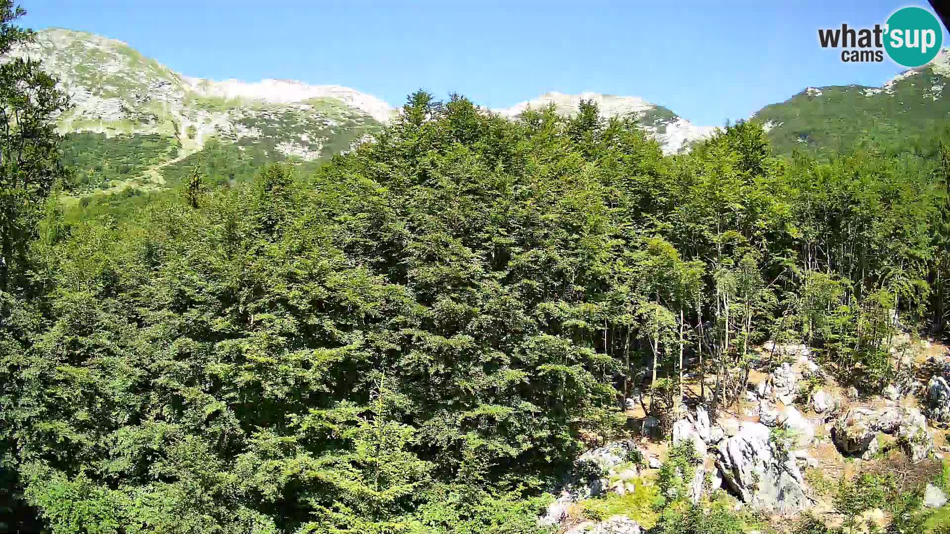 Cámara web PLANINA RAZOR (1315) | vista a Vogel y Globoko