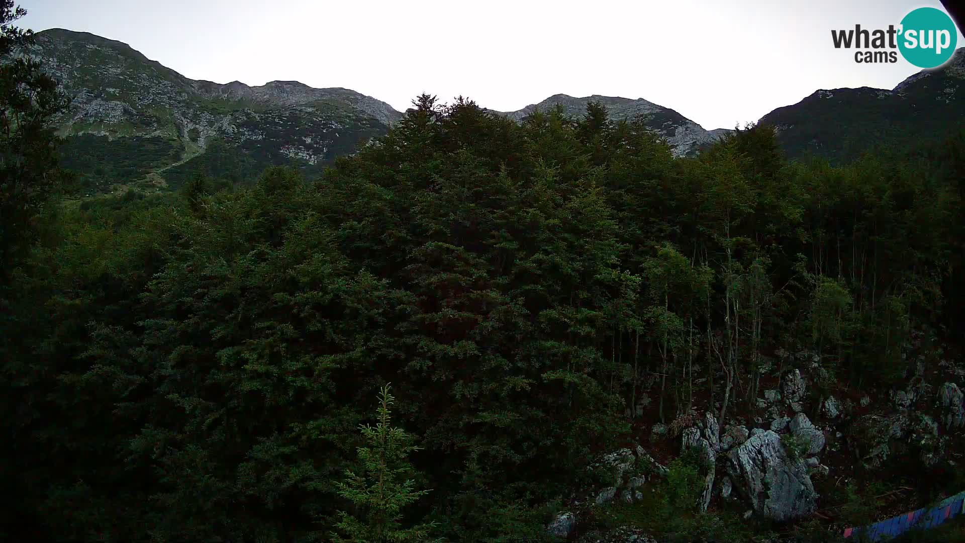 Livecam PLANINA RAZOR (1315) | vue sur Vogel et Globoko