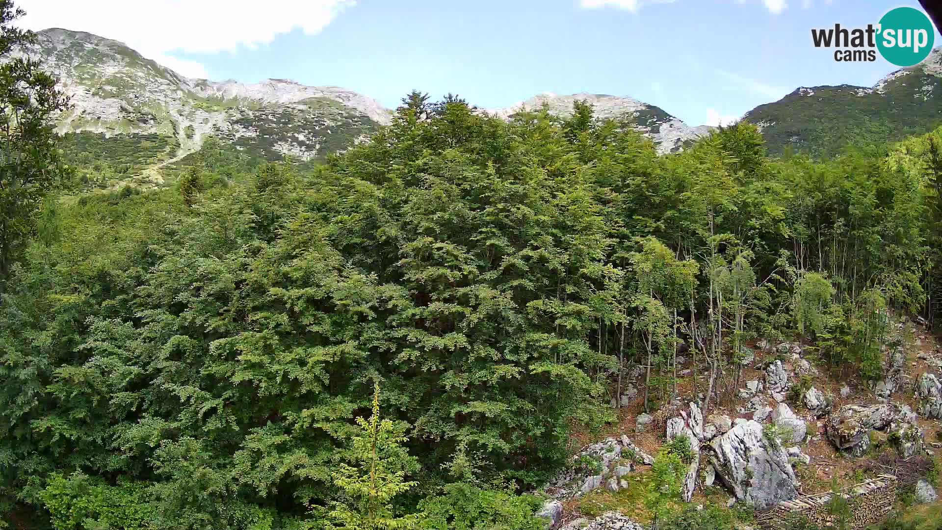 PLANINA RAZOR webcam (1315) | view to Vogel and Globoko