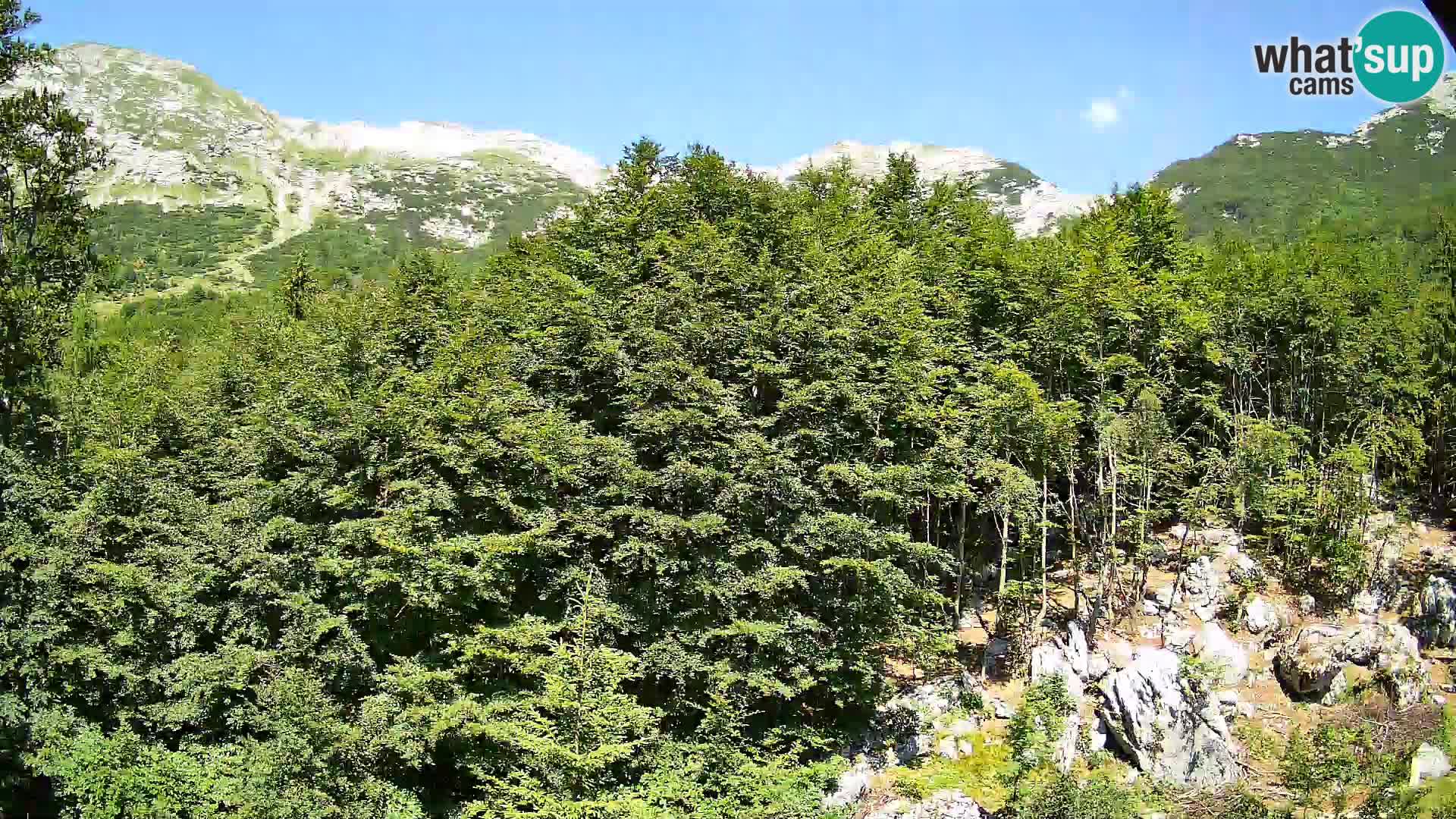 PLANINA RAZOR webcam (1315) | view to Vogel and Globoko