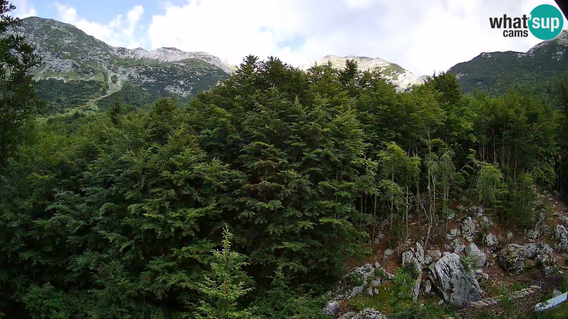PLANINA RAZOR kamera (1315) | pogled na Vogel in Globoko