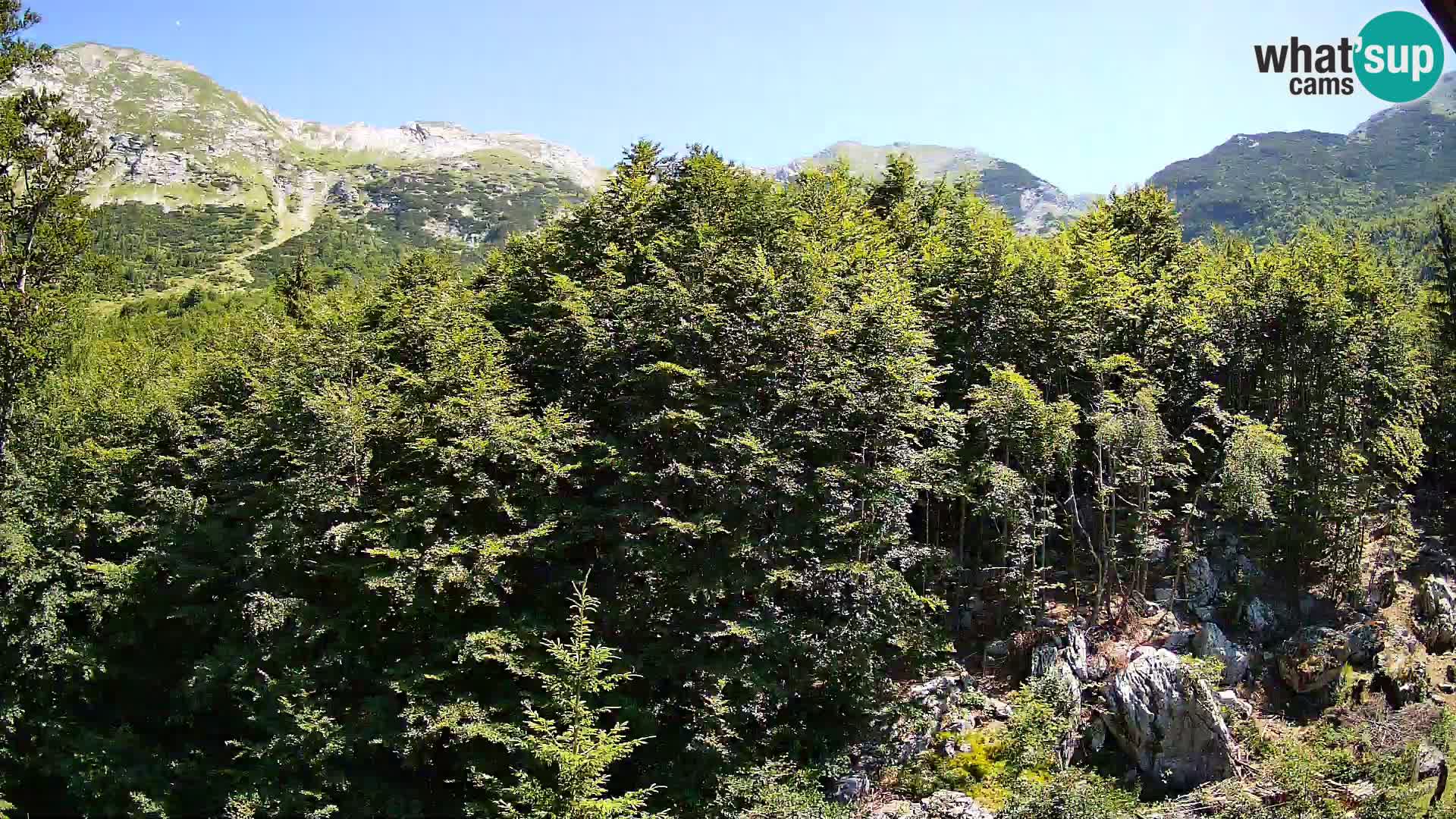 PLANINA RAZOR webcam (1315) | view to Vogel and Globoko