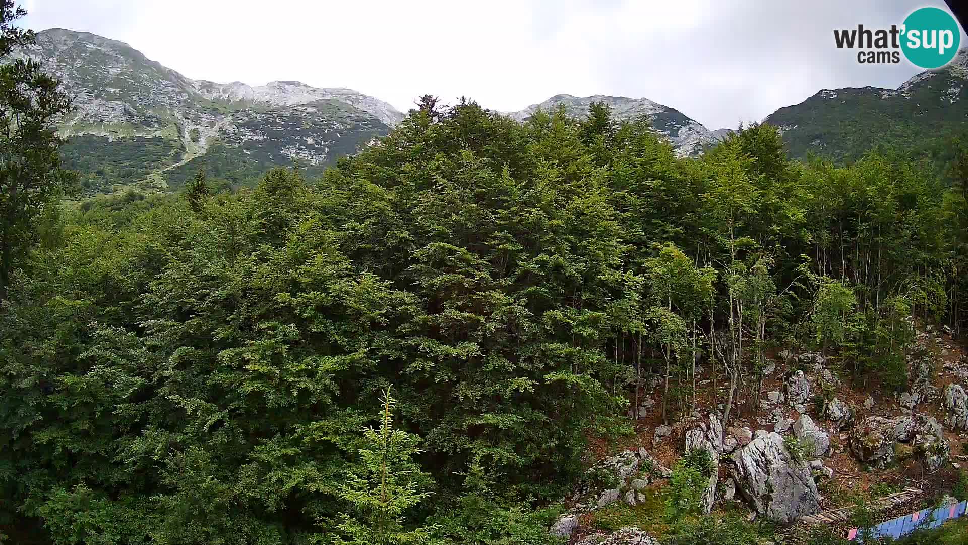 PLANINA RAZOR web kamera (1315) | pogled na Vogel i Globoko