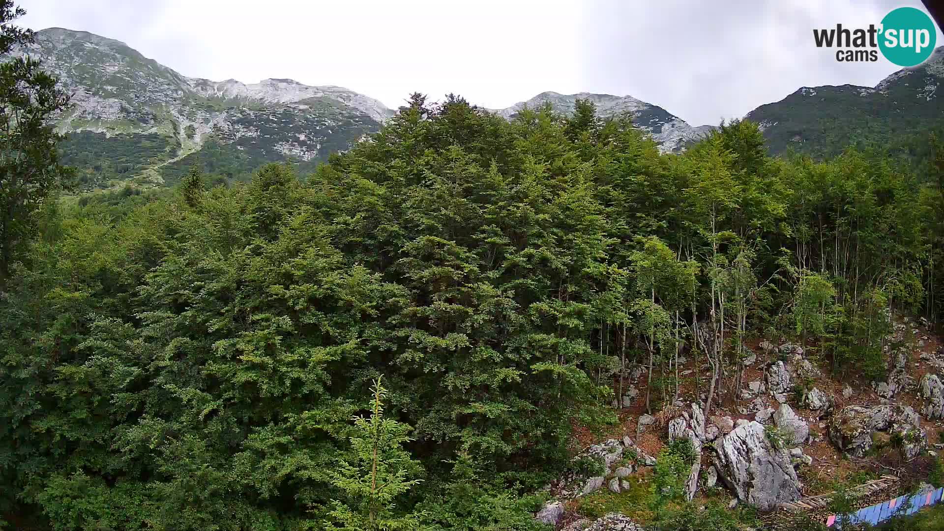 PLANINA RAZOR kamera (1315) | pogled na Vogel in Globoko