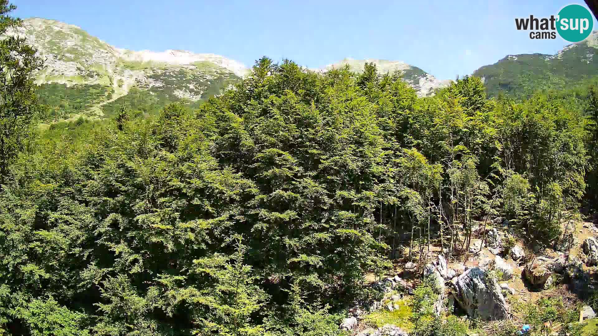 PLANINA RAZOR Live Cam (1315) | vista su Vogel e Globoko