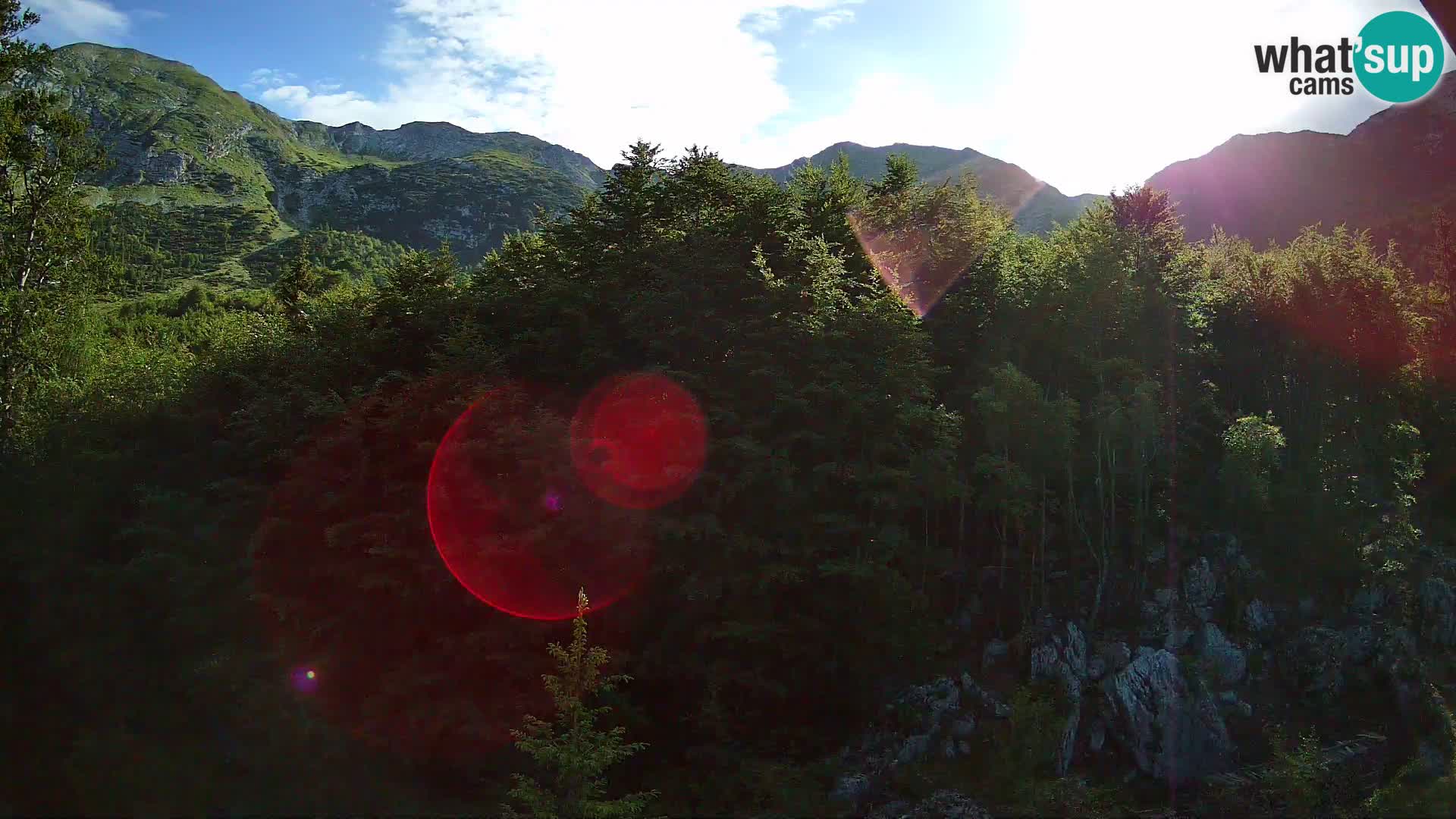 Livecam PLANINA RAZOR (1315) | vue sur Vogel et Globoko