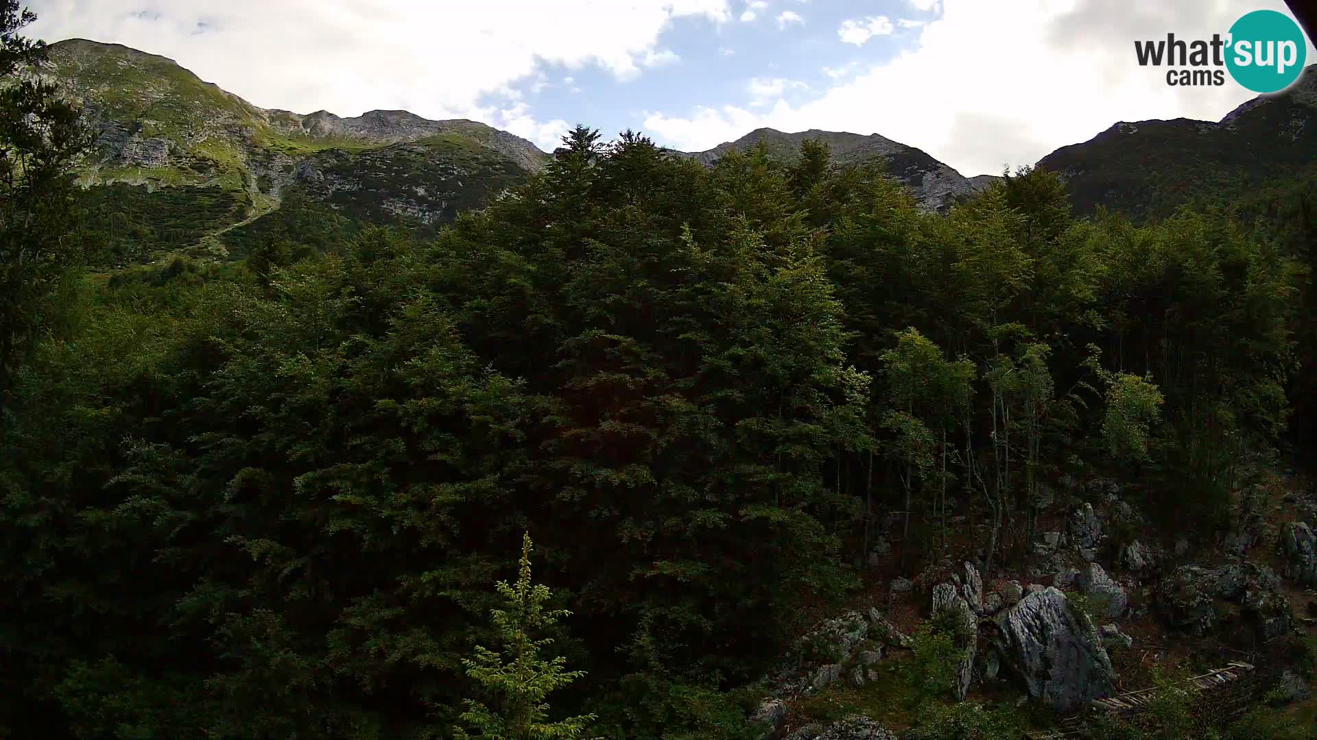 PLANINA RAZOR Live Cam (1315) | vista su Vogel e Globoko