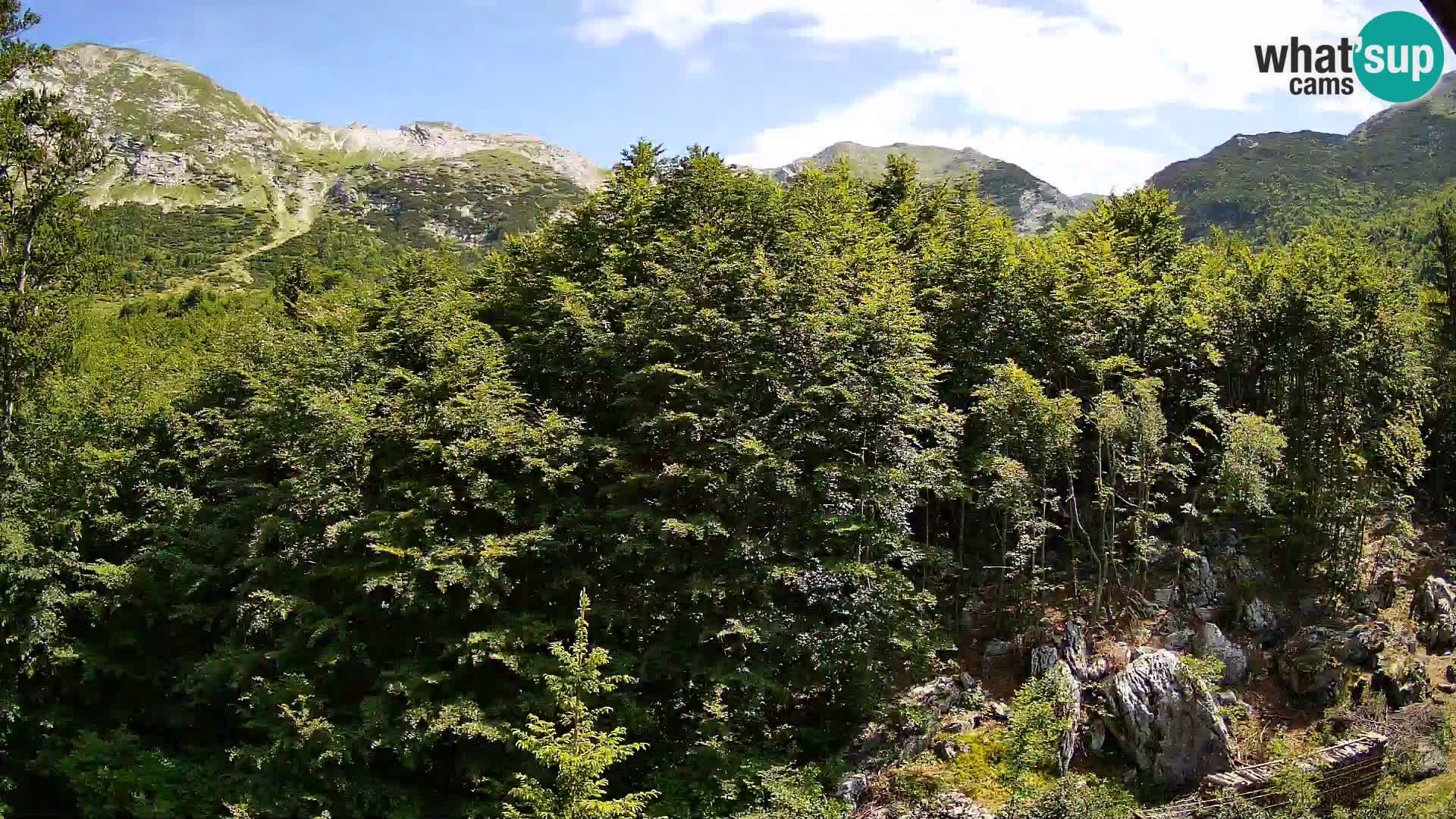 PLANINA RAZOR webcam (1315) | view to Vogel and Globoko