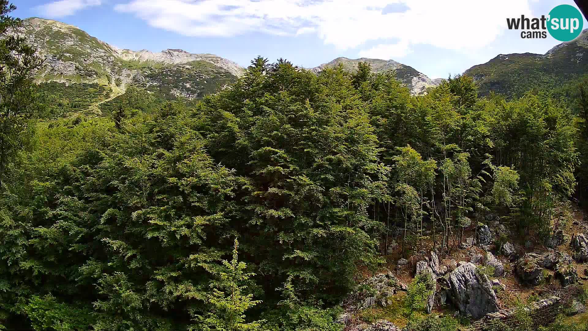 PLANINA RAZOR Live Cam (1315) | vista su Vogel e Globoko