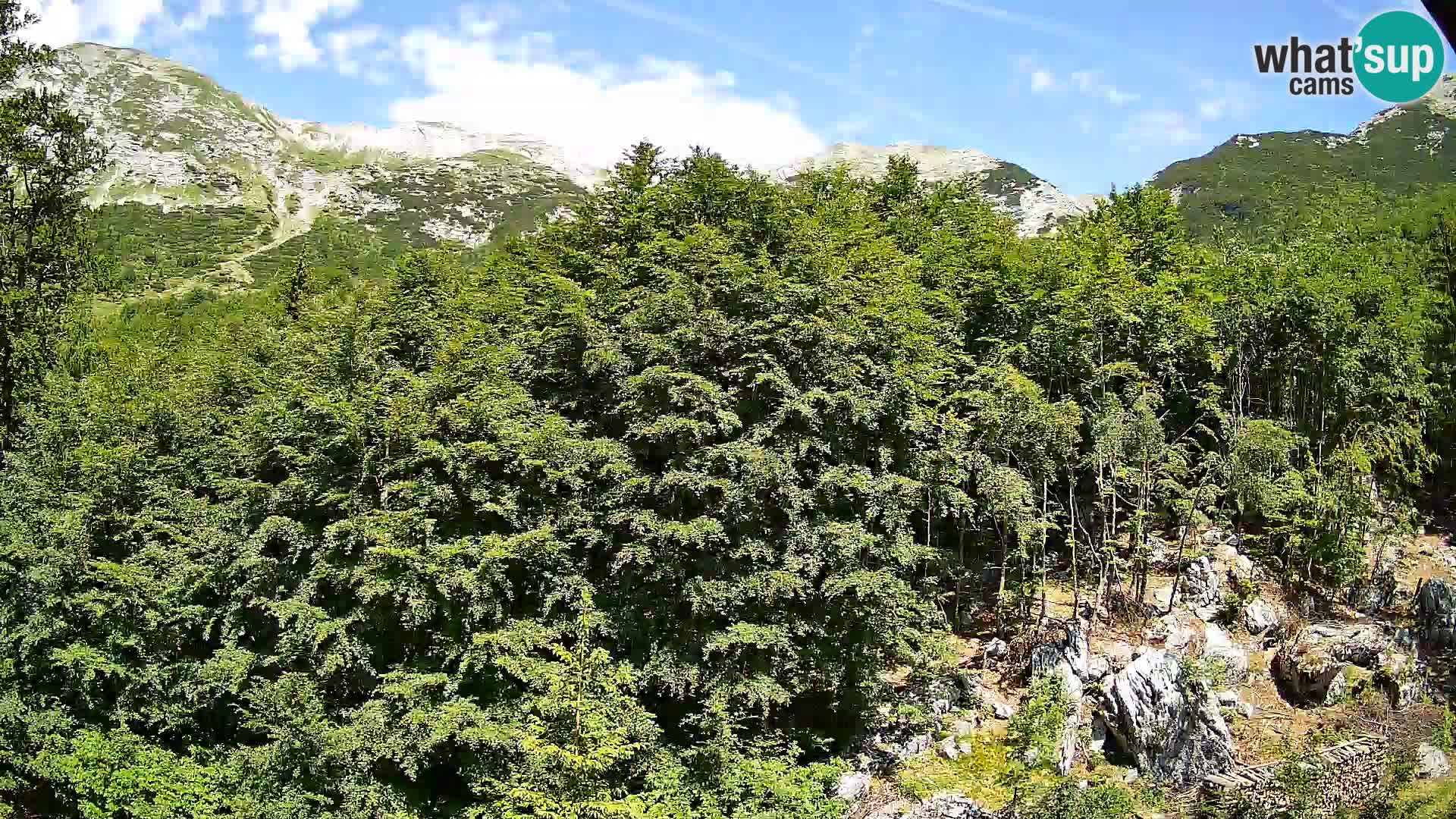 PLANINA RAZOR webcam (1315) | view to Vogel and Globoko