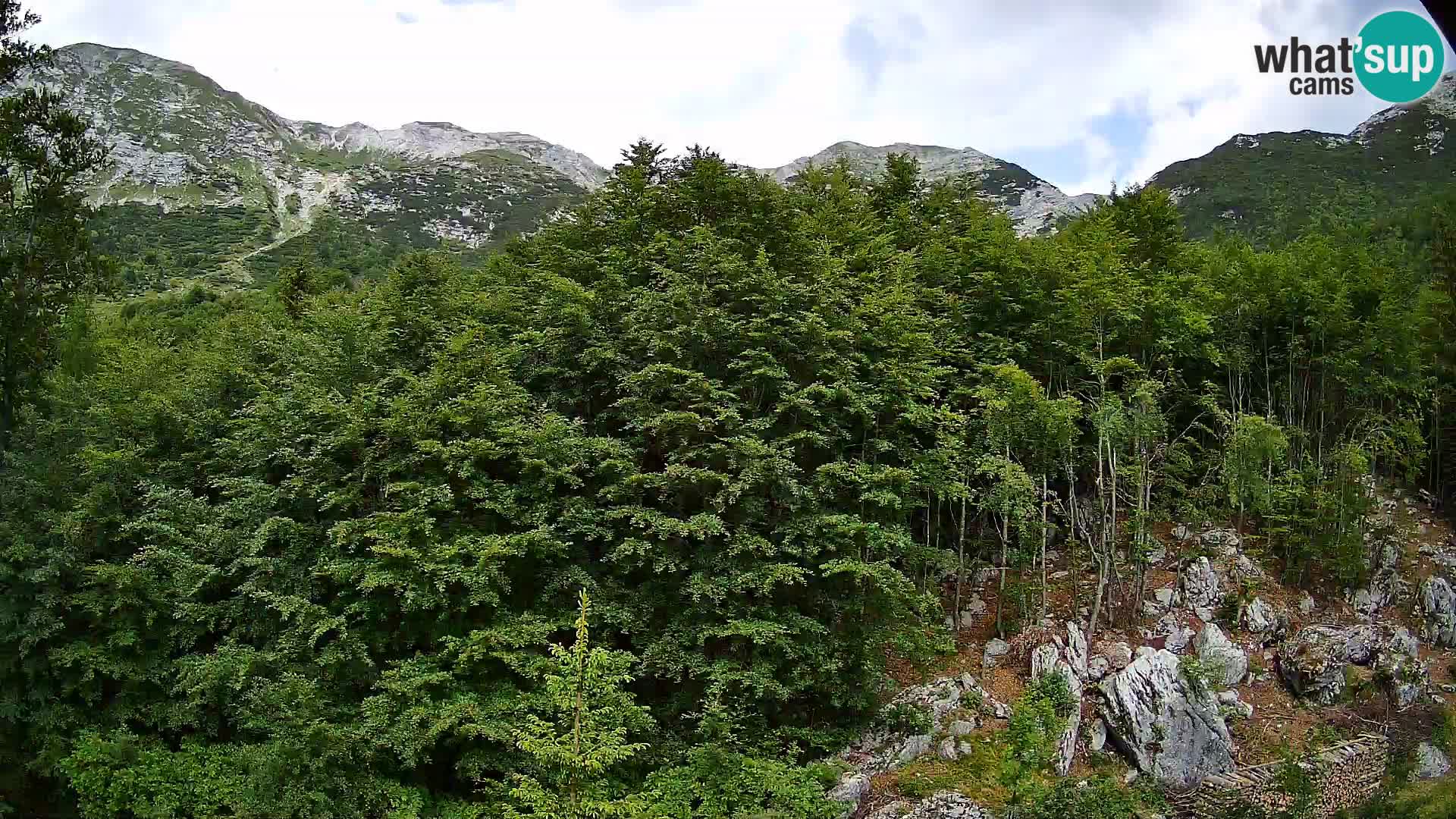 PLANINA RAZOR webcam (1315) | view to Vogel and Globoko
