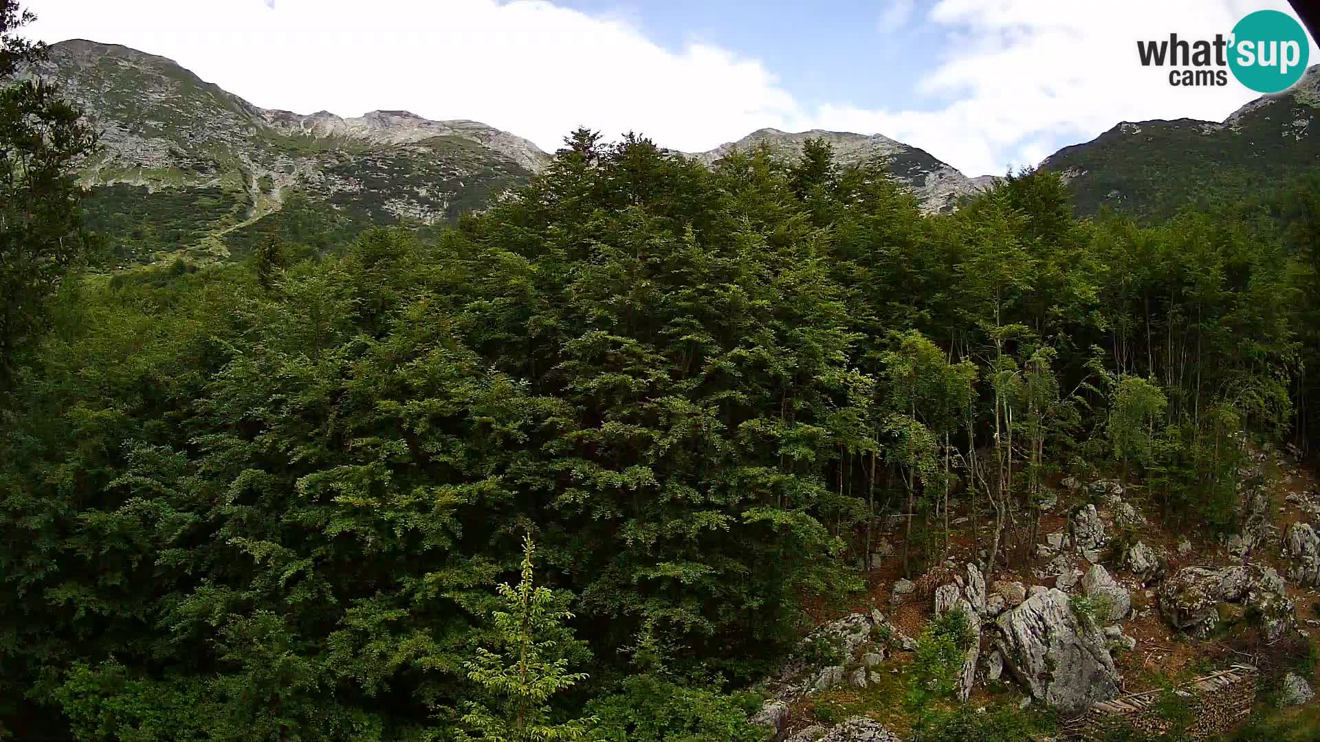 PLANINA RAZOR webcam (1315) | view to Vogel and Globoko