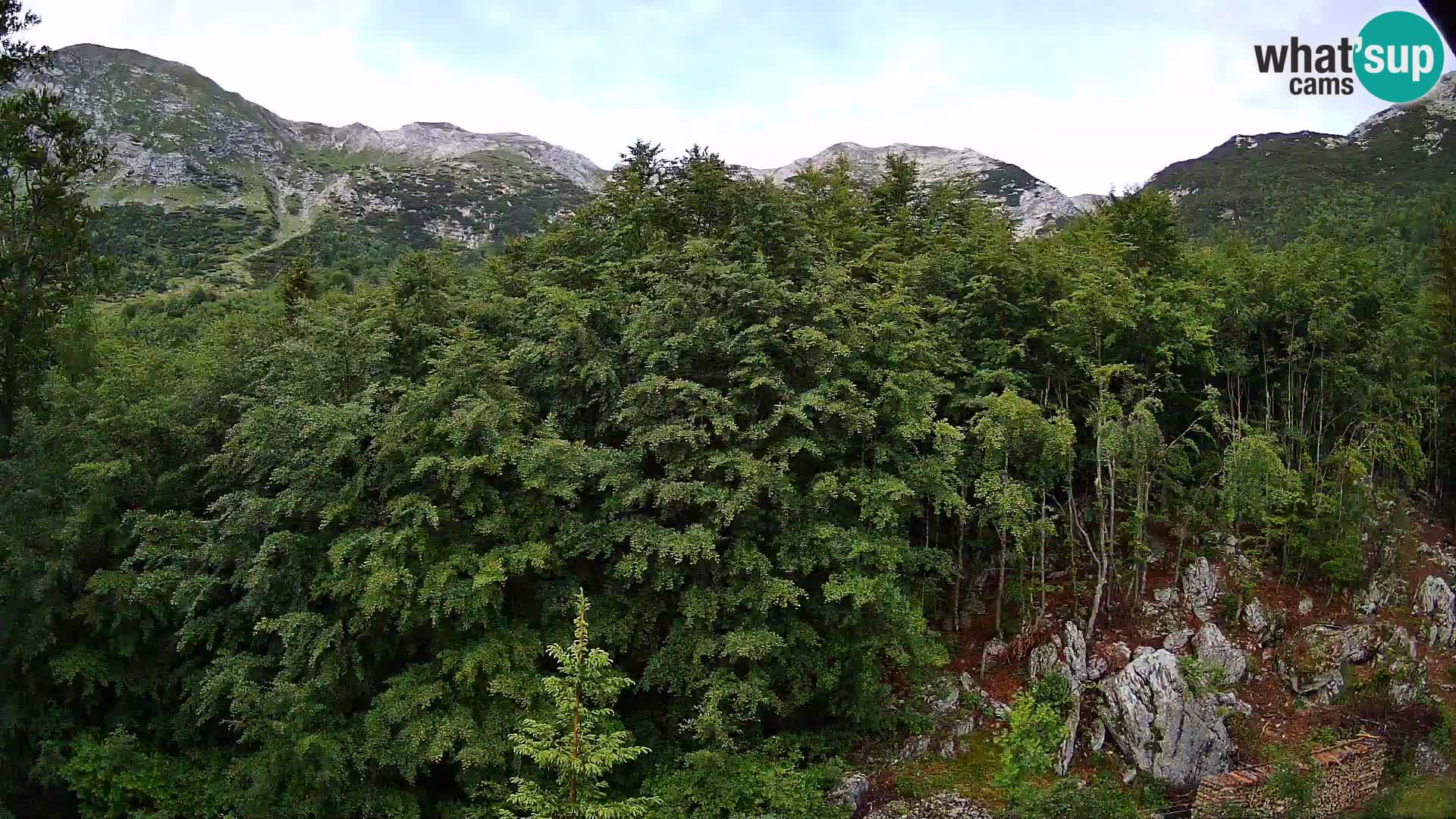 PLANINA RAZOR webcam (1315) | view to Vogel and Globoko