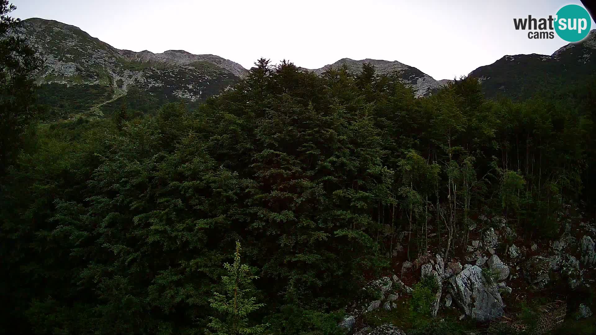 PLANINA RAZOR kamera (1315) | pogled na Vogel in Globoko