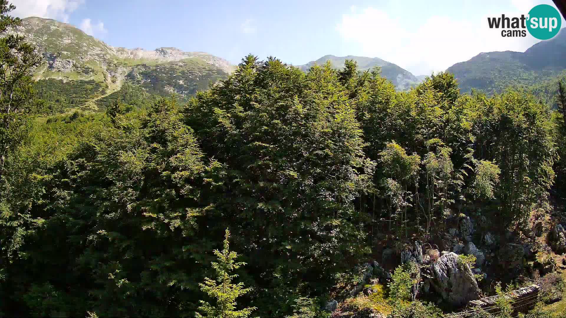 Cámara web PLANINA RAZOR (1315) | vista a Vogel y Globoko