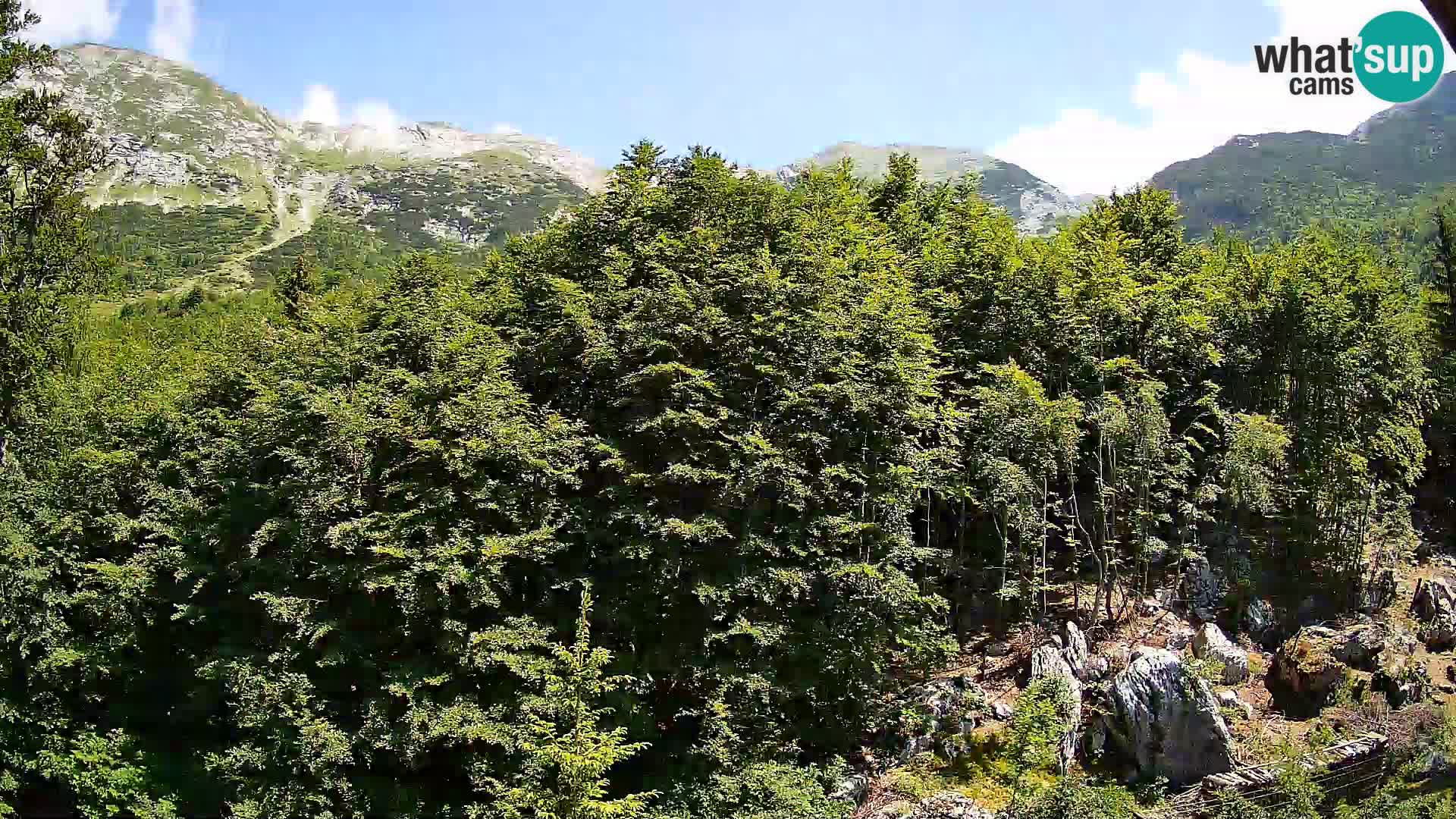 PLANINA RAZOR webcam (1315) | view to Vogel and Globoko