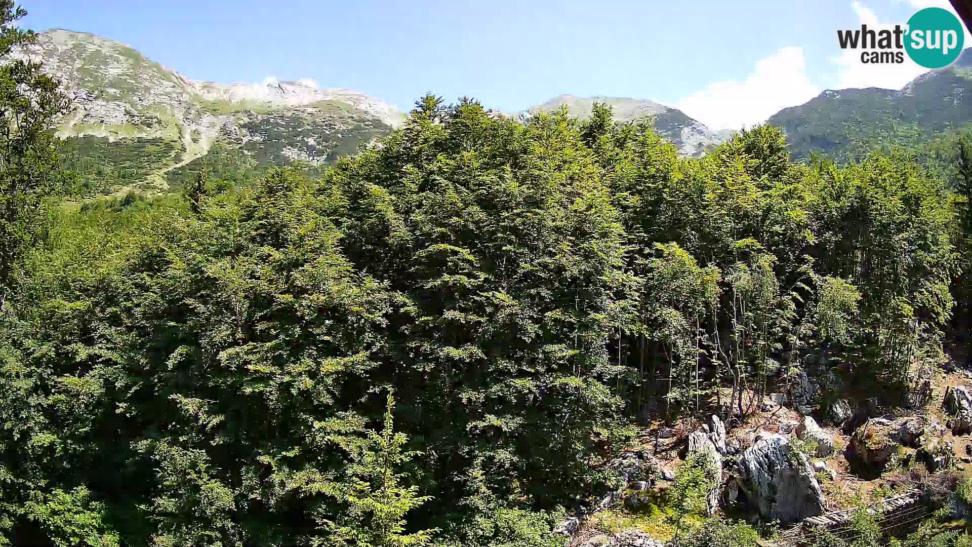 Livecam PLANINA RAZOR (1315) | vue sur Vogel et Globoko