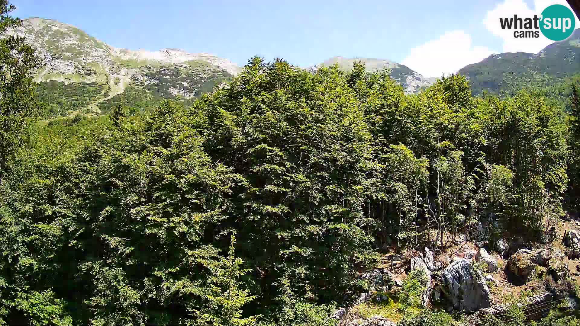 Webcam PLANINA RAZOR (1315) | Blick auf Vogel und Globoko