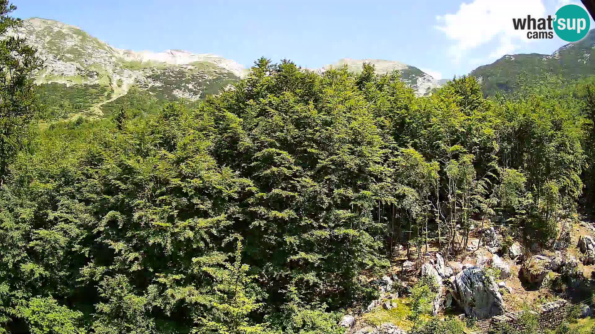 PLANINA RAZOR webcam (1315) | view to Vogel and Globoko